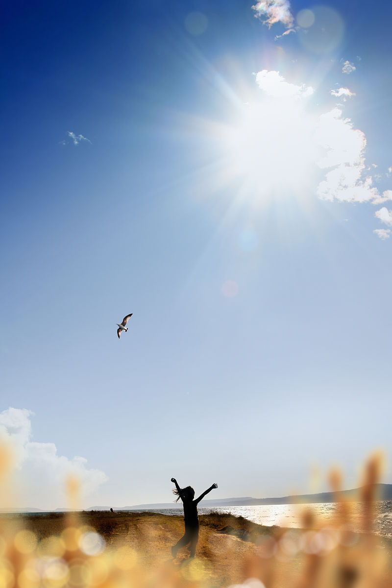 续写诗歌我曾经梦想飞去远方。我曾经自由像风一样流浪。