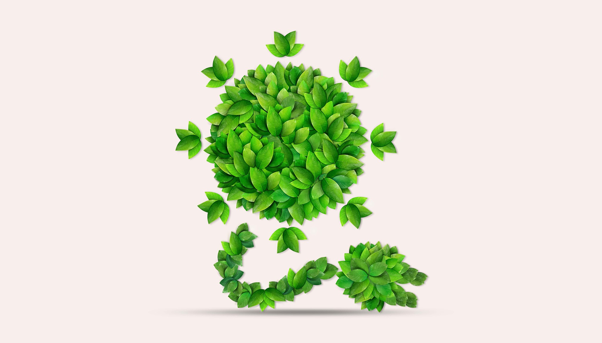 eco object