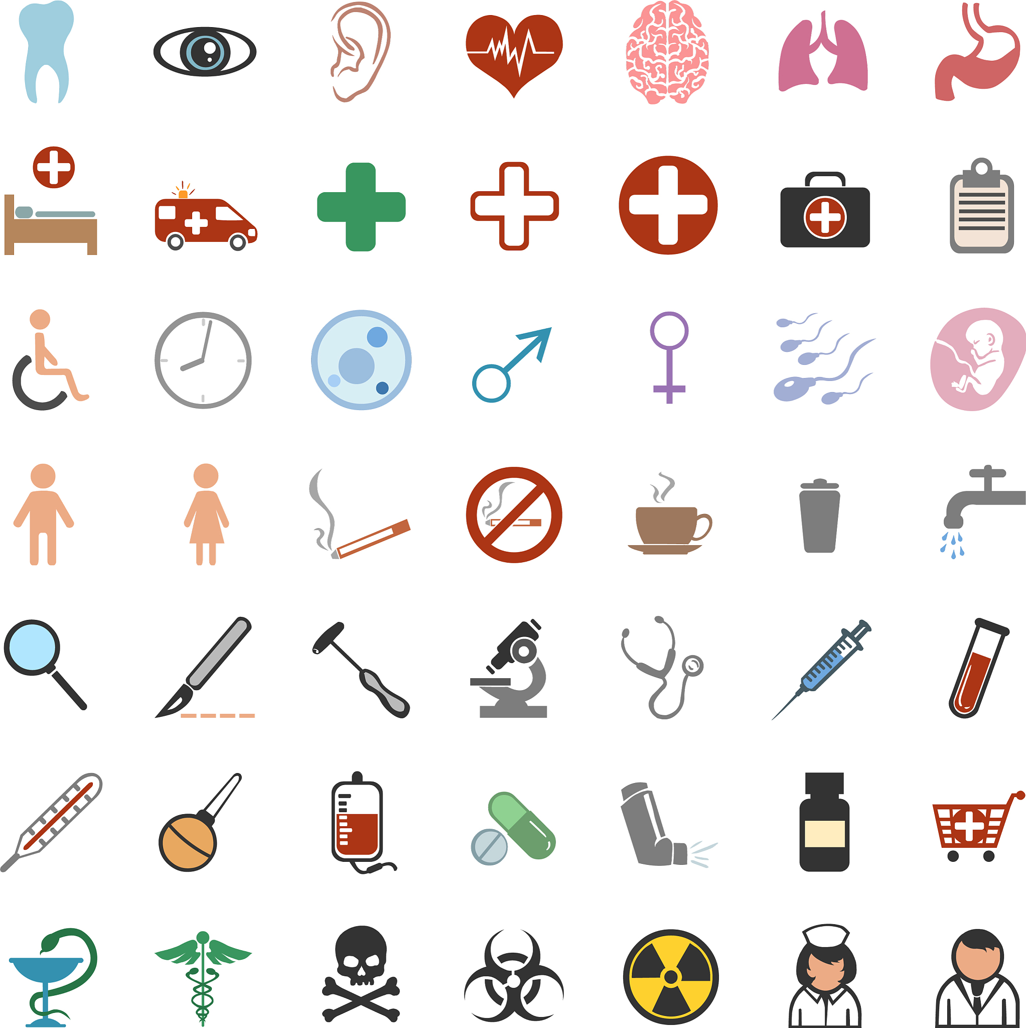 2023年昆明卫生职业学院中专部计划内招生专业一览