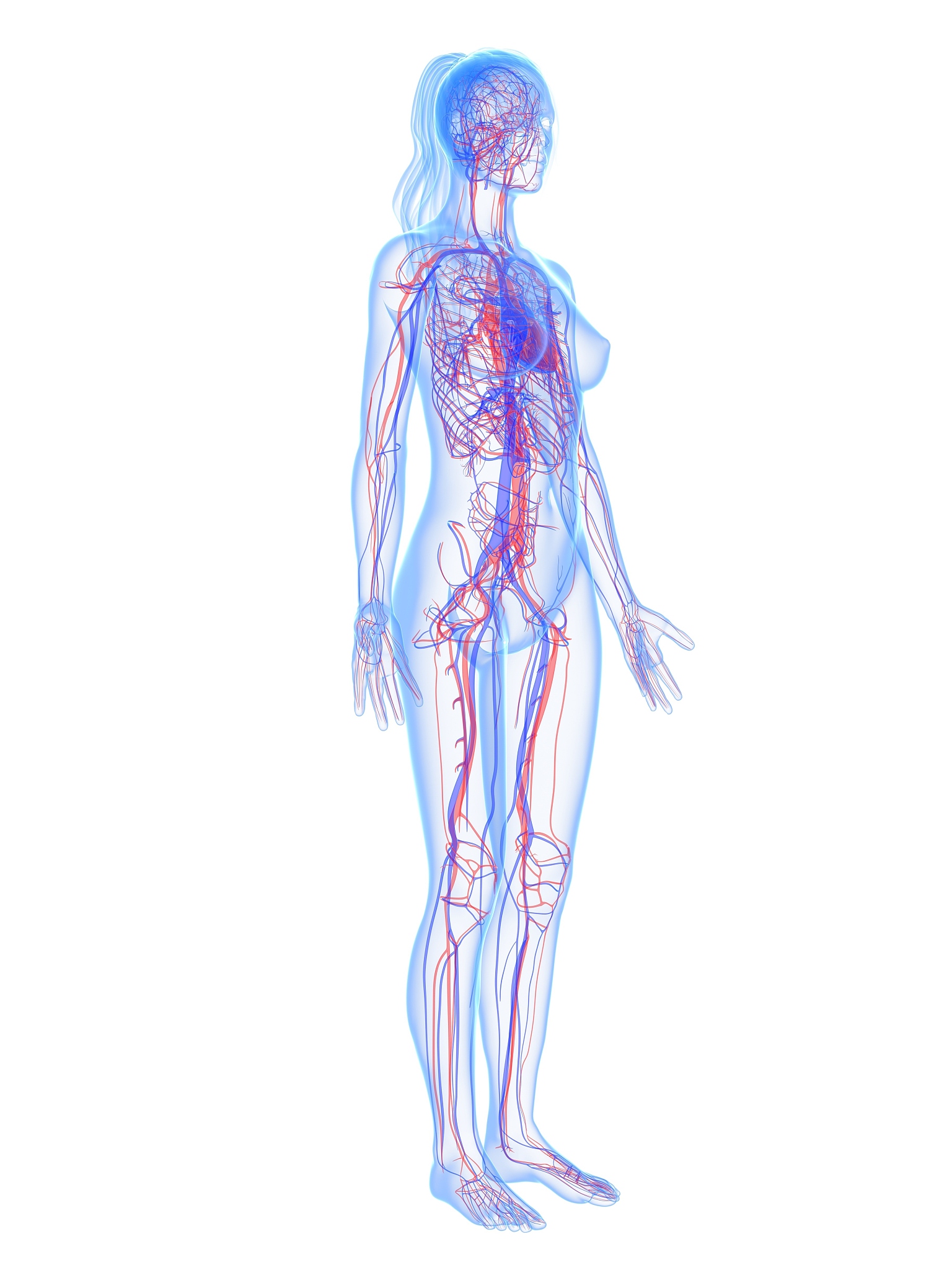 玉溪女生中专学什么专业好？热门专业推荐