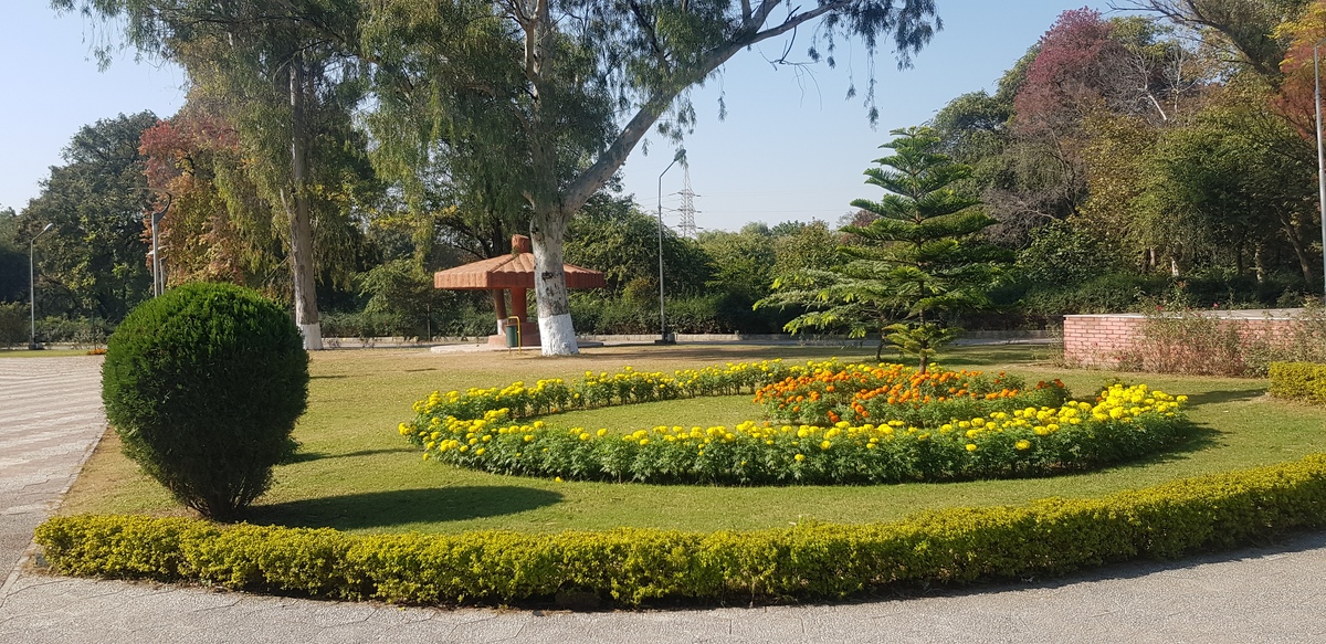 园林与风景园林：定义与区别