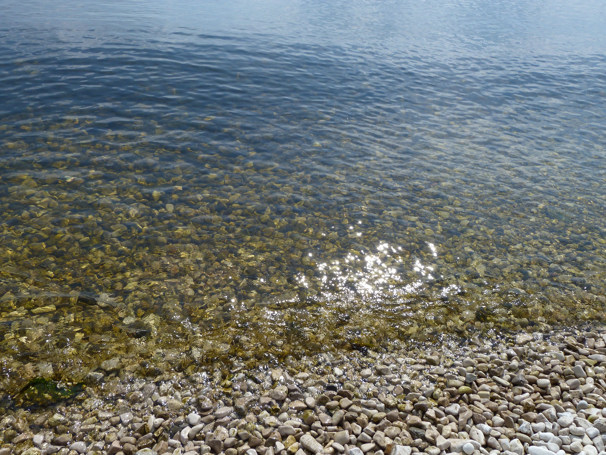 英译汉 cold seeps in the South China Sea SCS have received increasing scientific attention since their discovery in the early 2000s 15 More than 30 seeps have been investigated and constant research effo