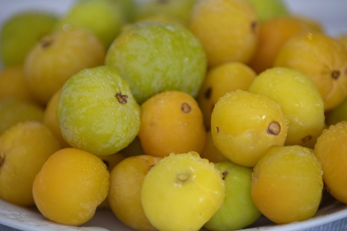 黄皮果吃多了会胖吗？ | 营养美味，适量享用
