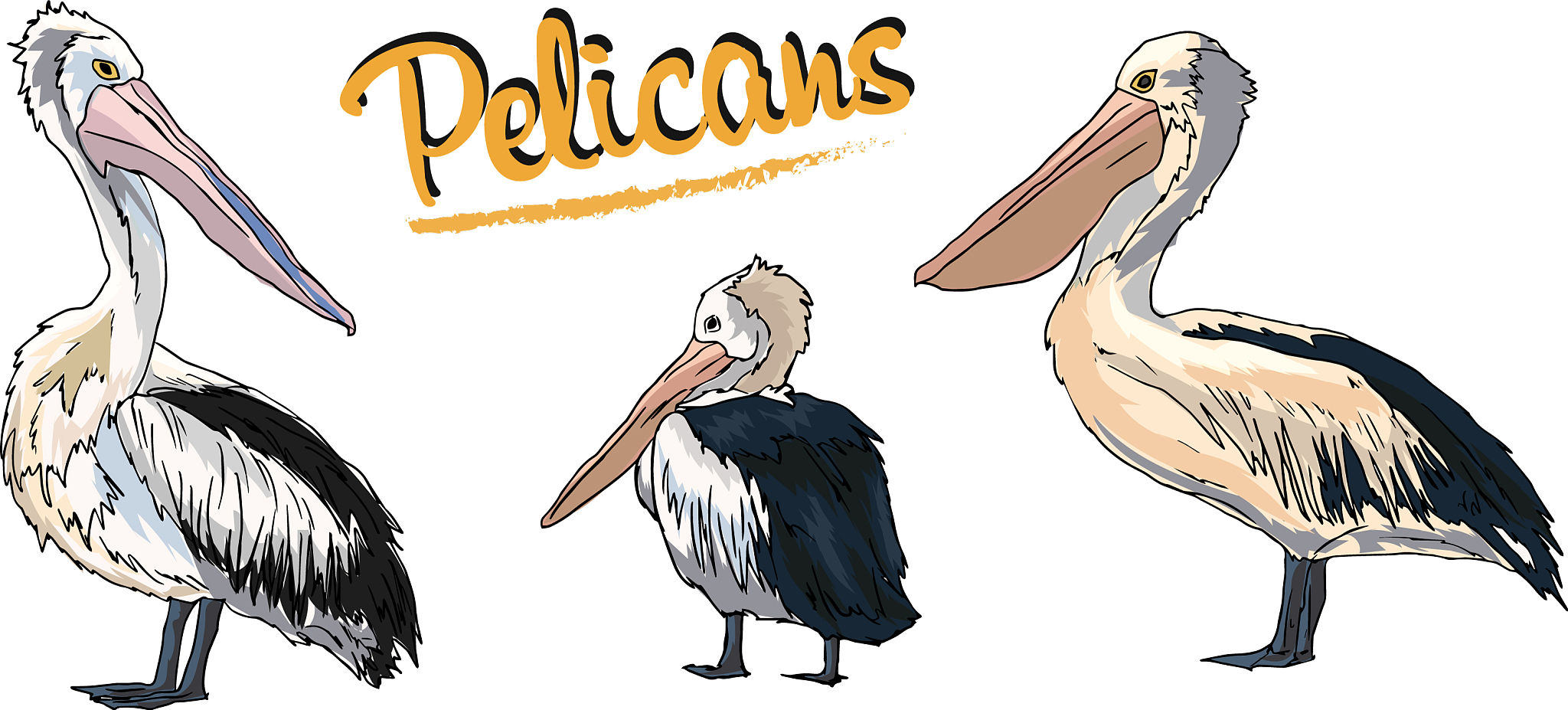 黄石艺术学校招生条件：招生对象、分数及考试内容