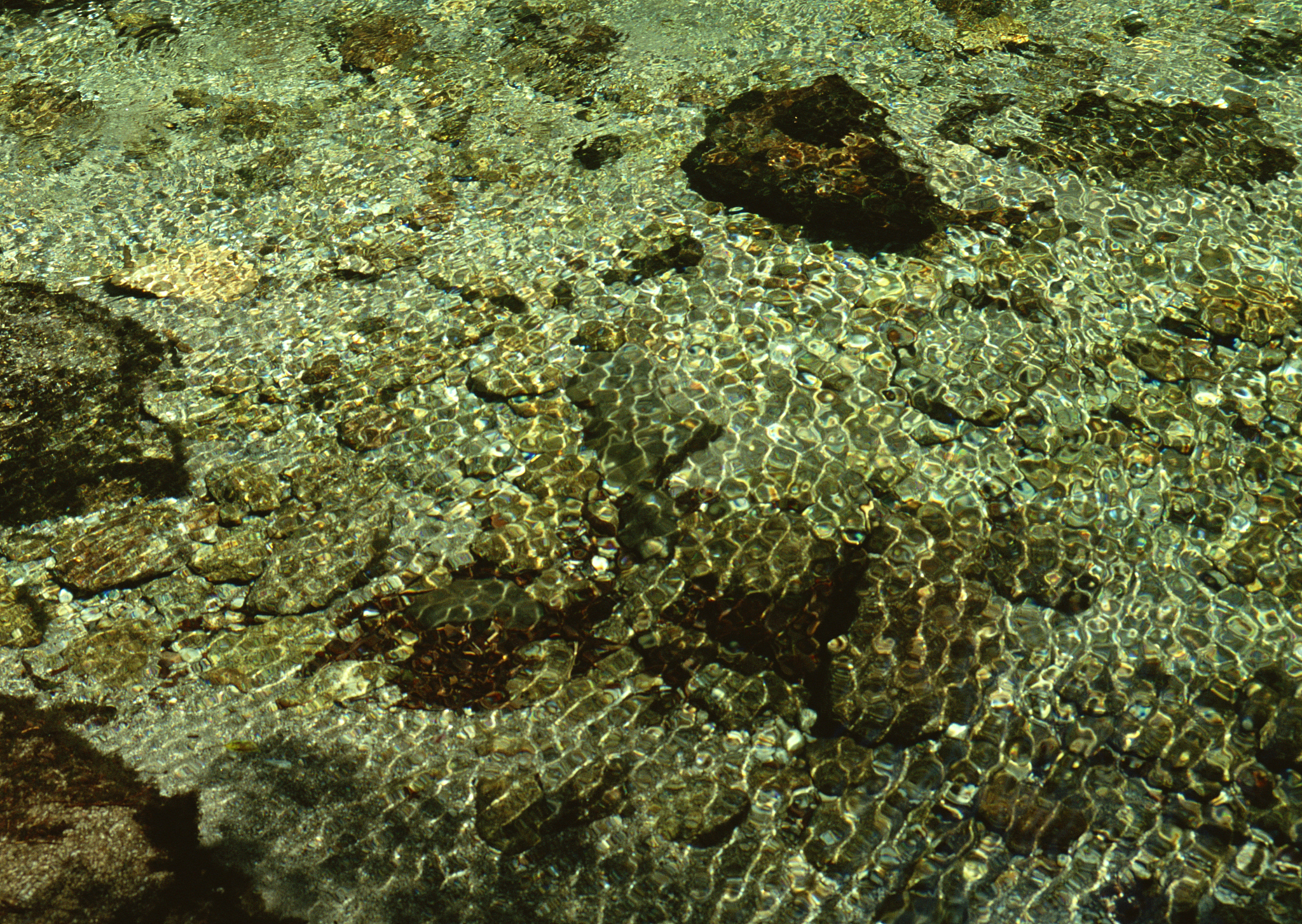 对以下内容进行大变化中文改写换一种说法表达要求语言通顺逻辑清晰。综上所述黄铜矿和辉钼矿的表面性质相似具有良好的可浮性。通过采用表面氧化技术可以使黄铜矿和辉钼矿表面性质产生明显差异从而在铜钼硫化矿浮选分离中具备巨大的优势和潜力。虽然国内外的选矿科研人员在铜钼硫化矿氧化预处理方面做了很多工作但还存在一些问题。例如等离子体和热处理需要额外设备操作复杂设备昂贵；用H2O2、O3和NaClO等氧化剂处理具有