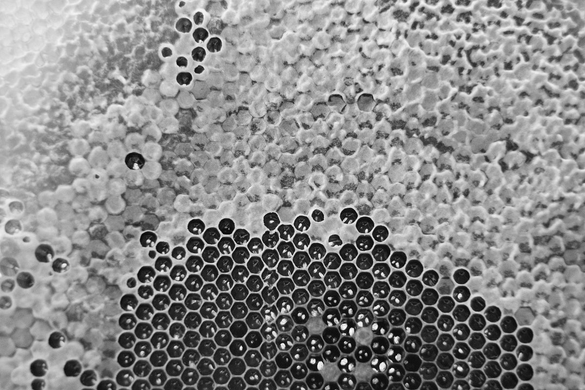 兰姆波推动锂电池消除枝晶设计与分析毕业设计绪论