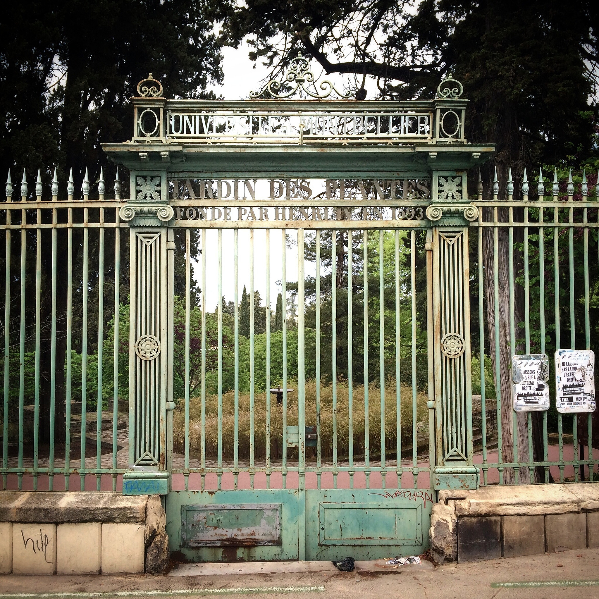 给幼儿园送货上门安装铝艺电动平移大门工程施工案例