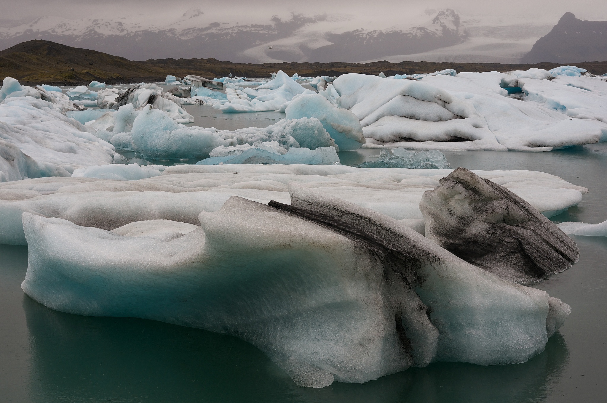 《北方的纳努克》观后感：探秘北极的壮丽与生存智慧
