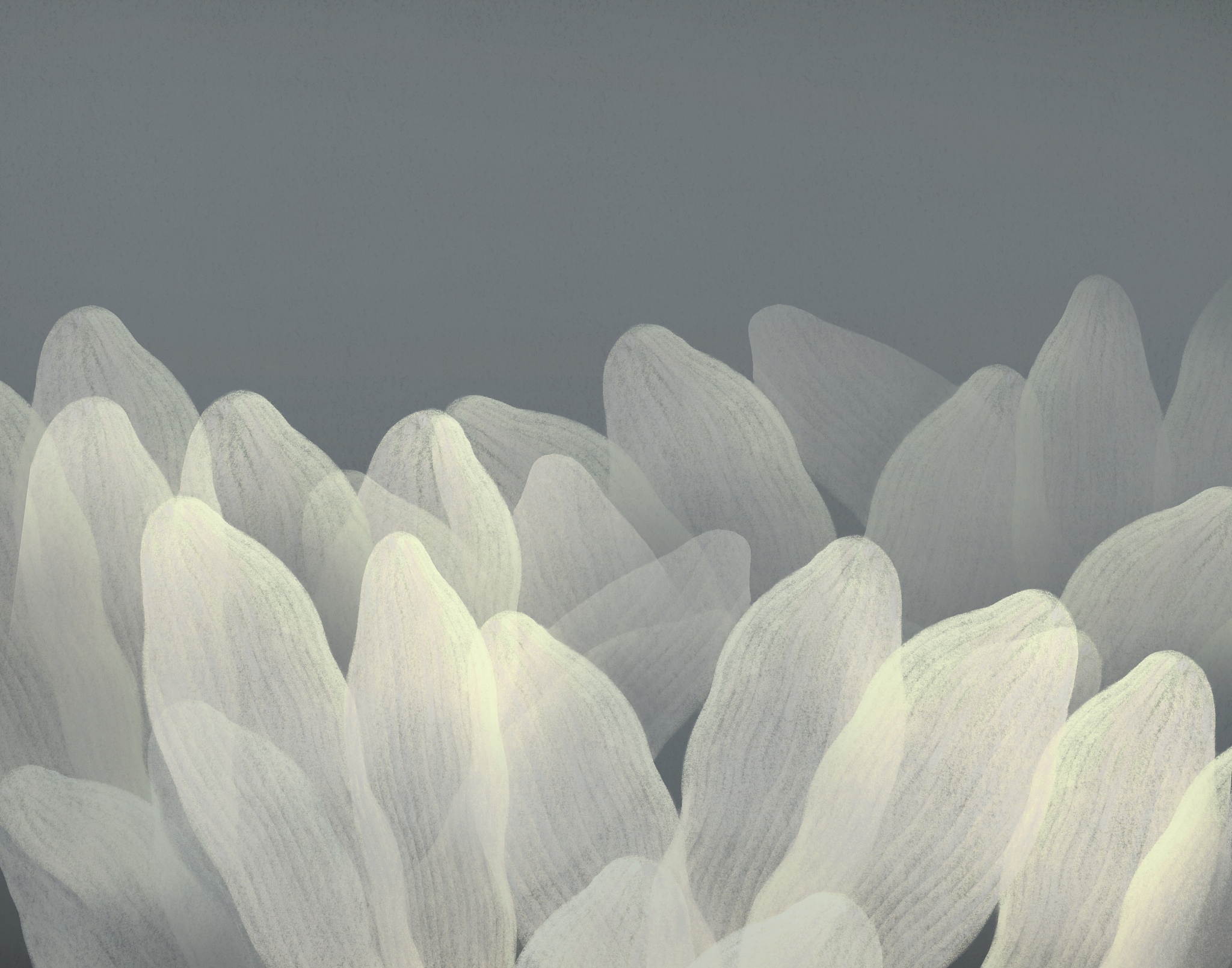 罗列一下关于东方美学的关键词