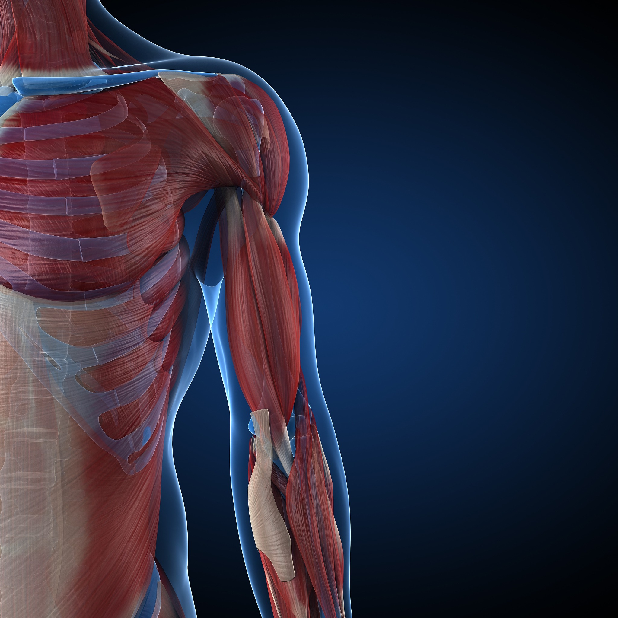 肩膀疼导致手肘部位也疼了该怎么办