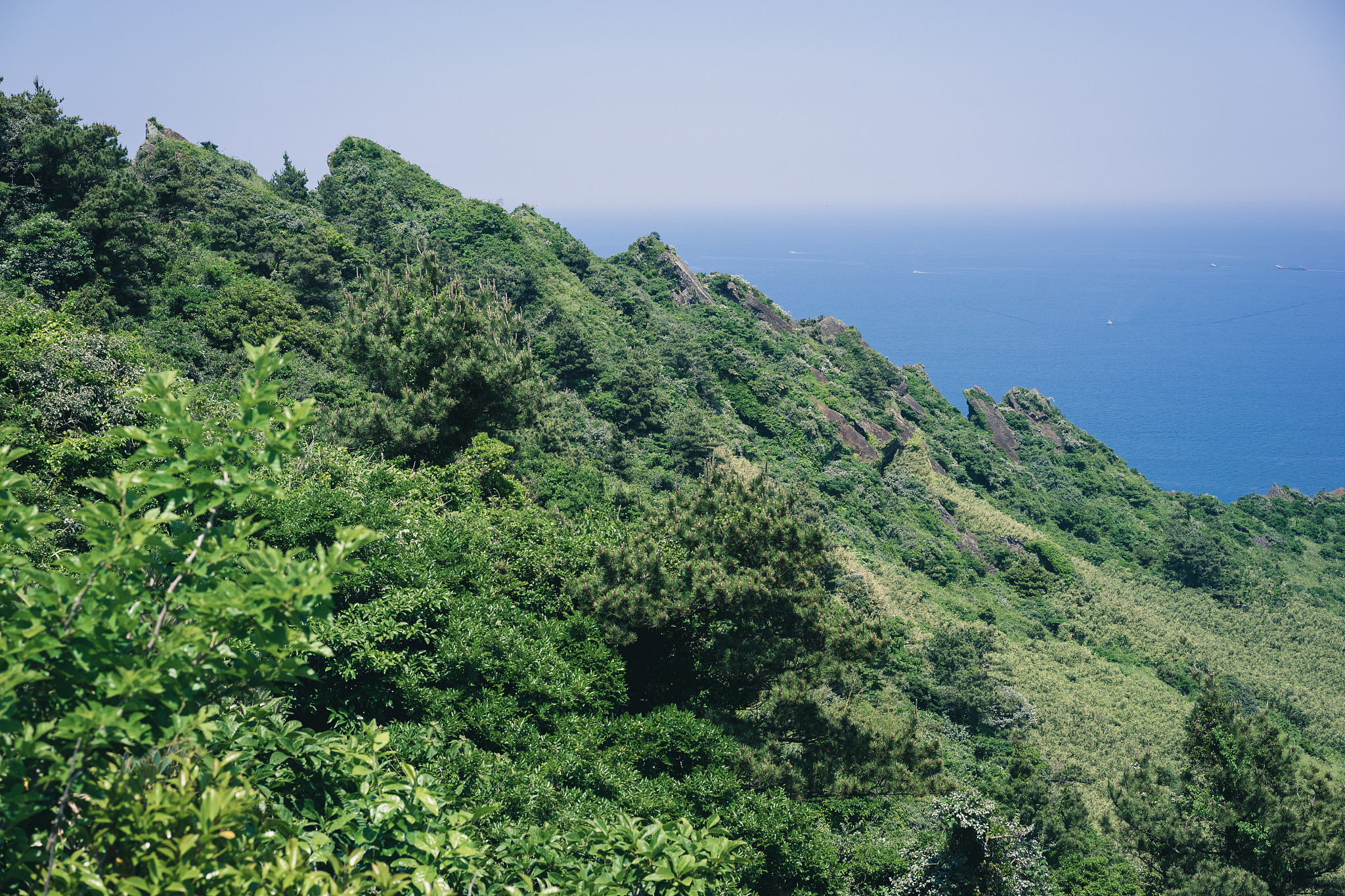 crater of sunrise peak (seongsan ilchulbong) on jeju island, sou