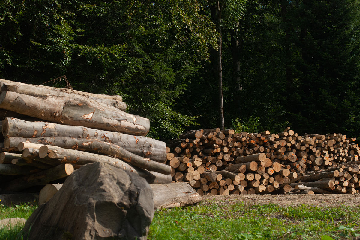 报读甘肃林业职业技术学院如何？