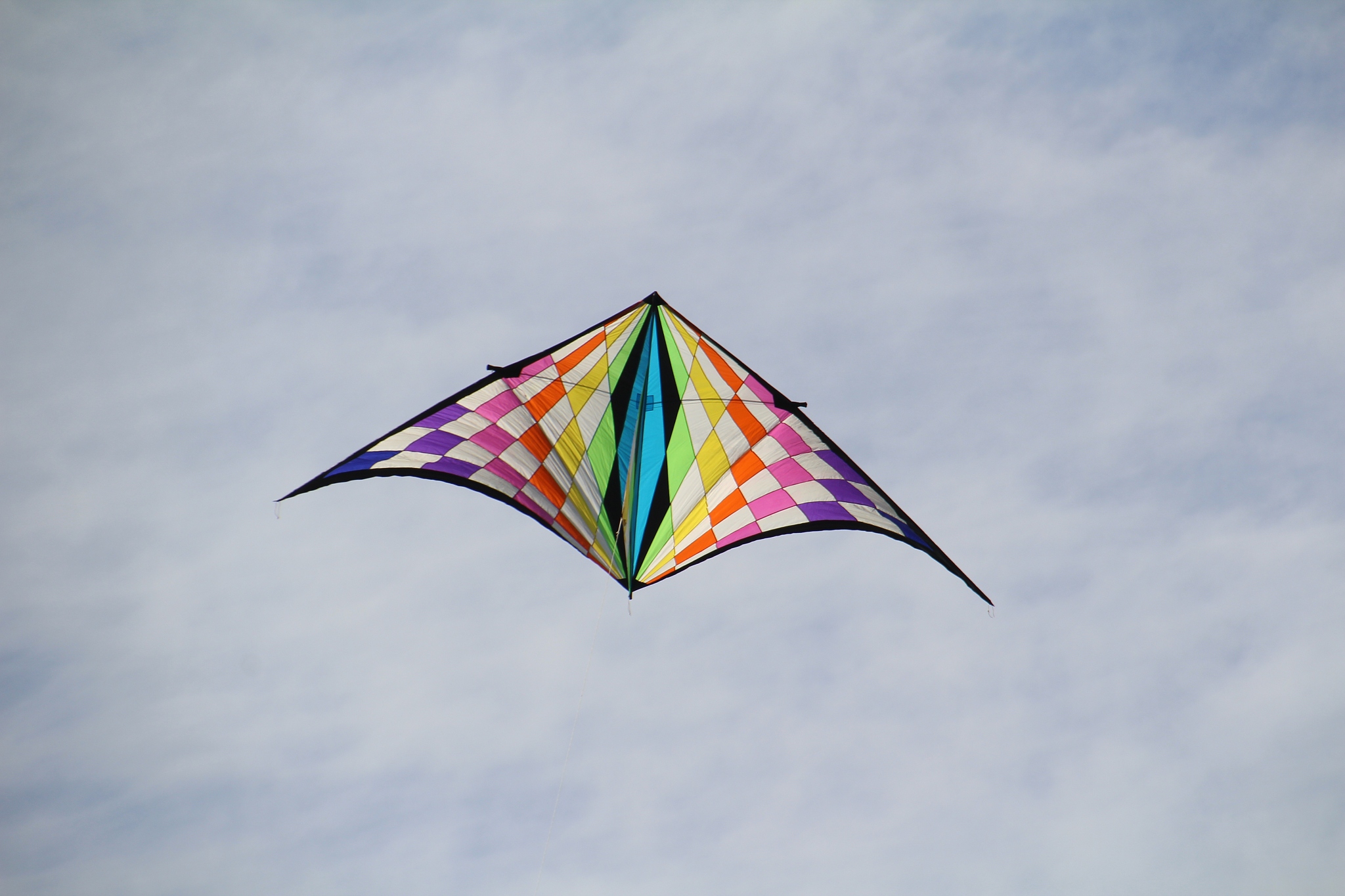 kites
