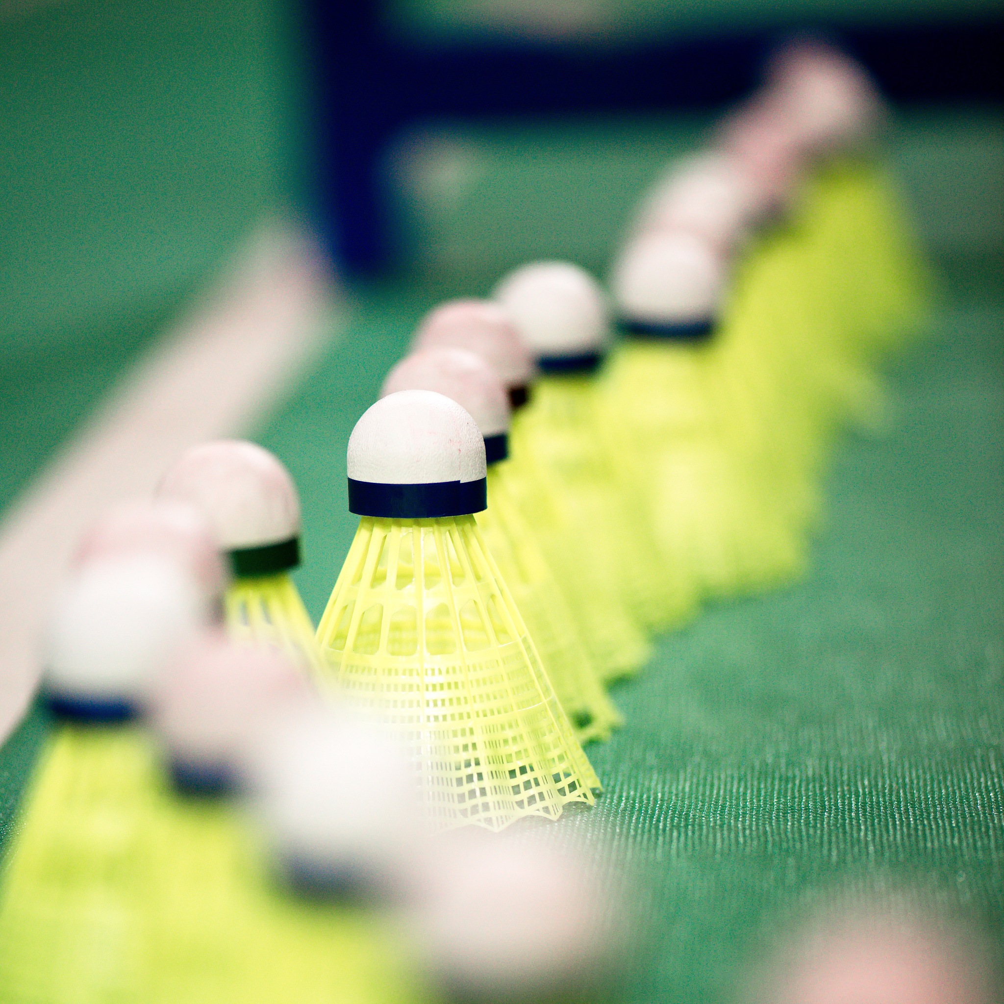 四川航天职业技术学院2019+旅游管理专业招生