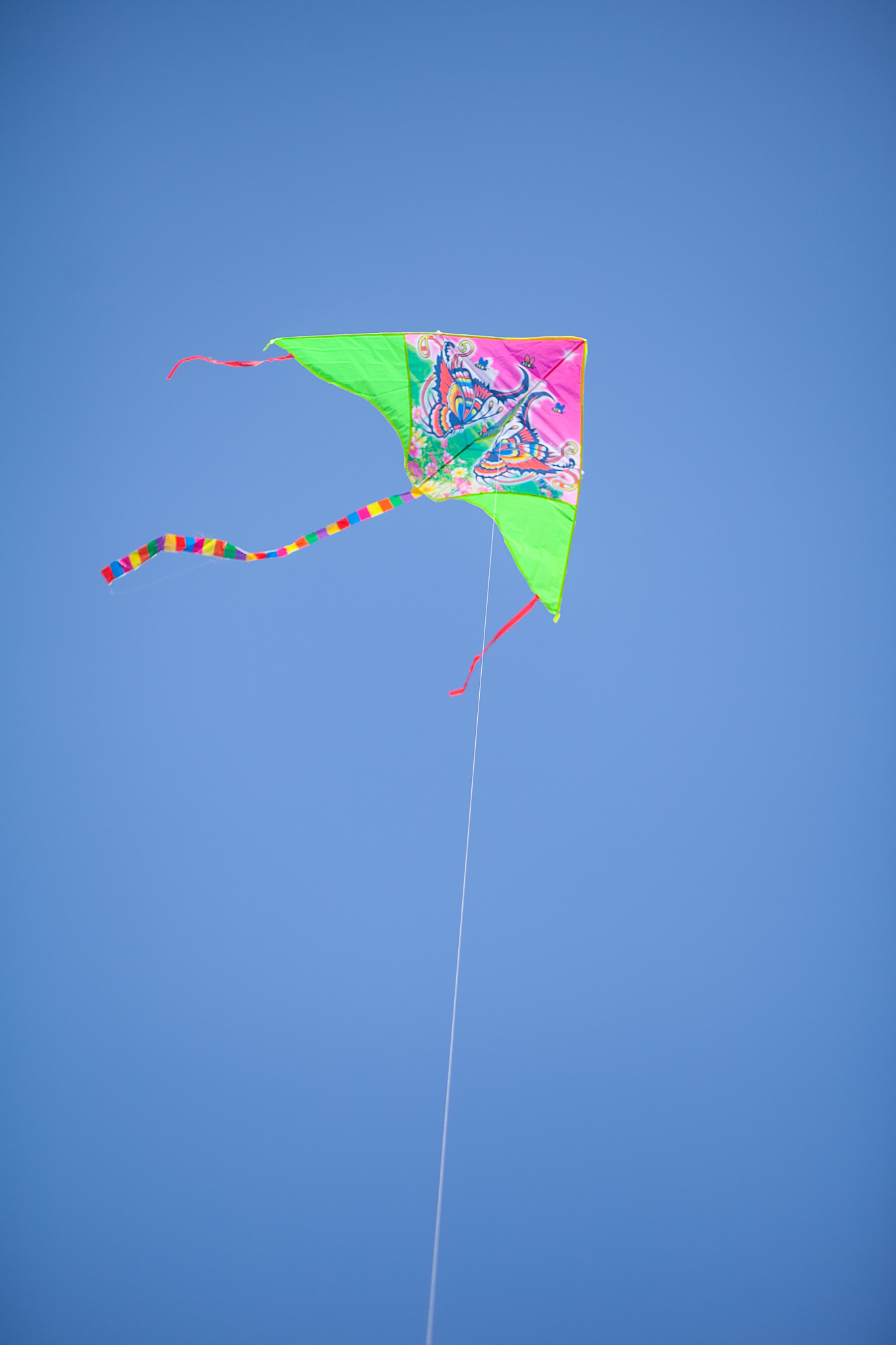 kite with a tail