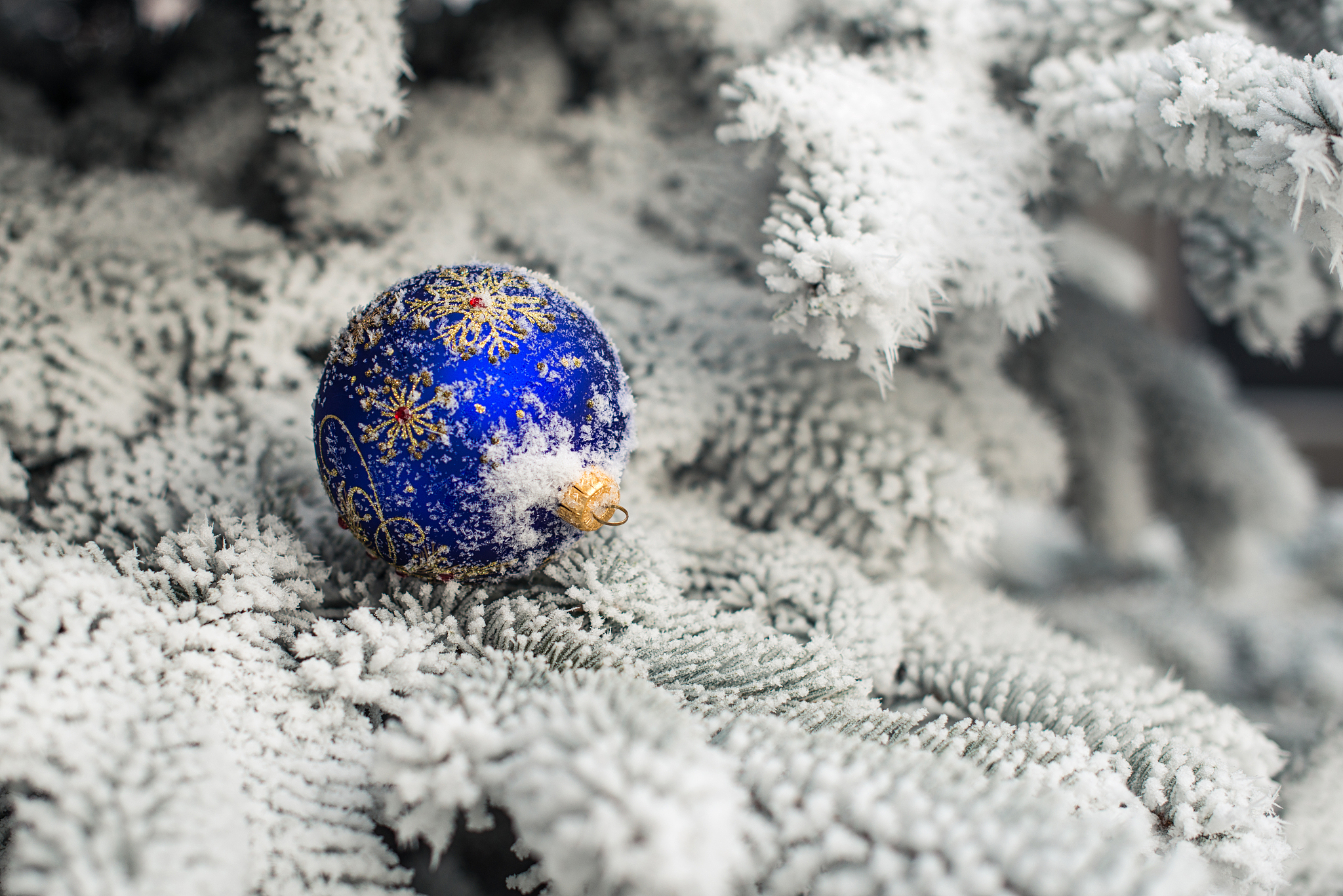 covered with snow branch of a christmas tree and one brilliant b
