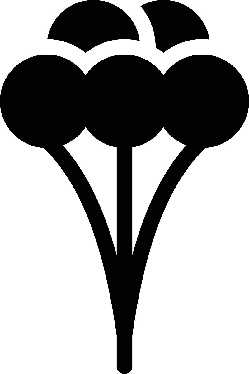 常熟滨江职业技术学校2023年专业：工程、医学、商务、艺术等