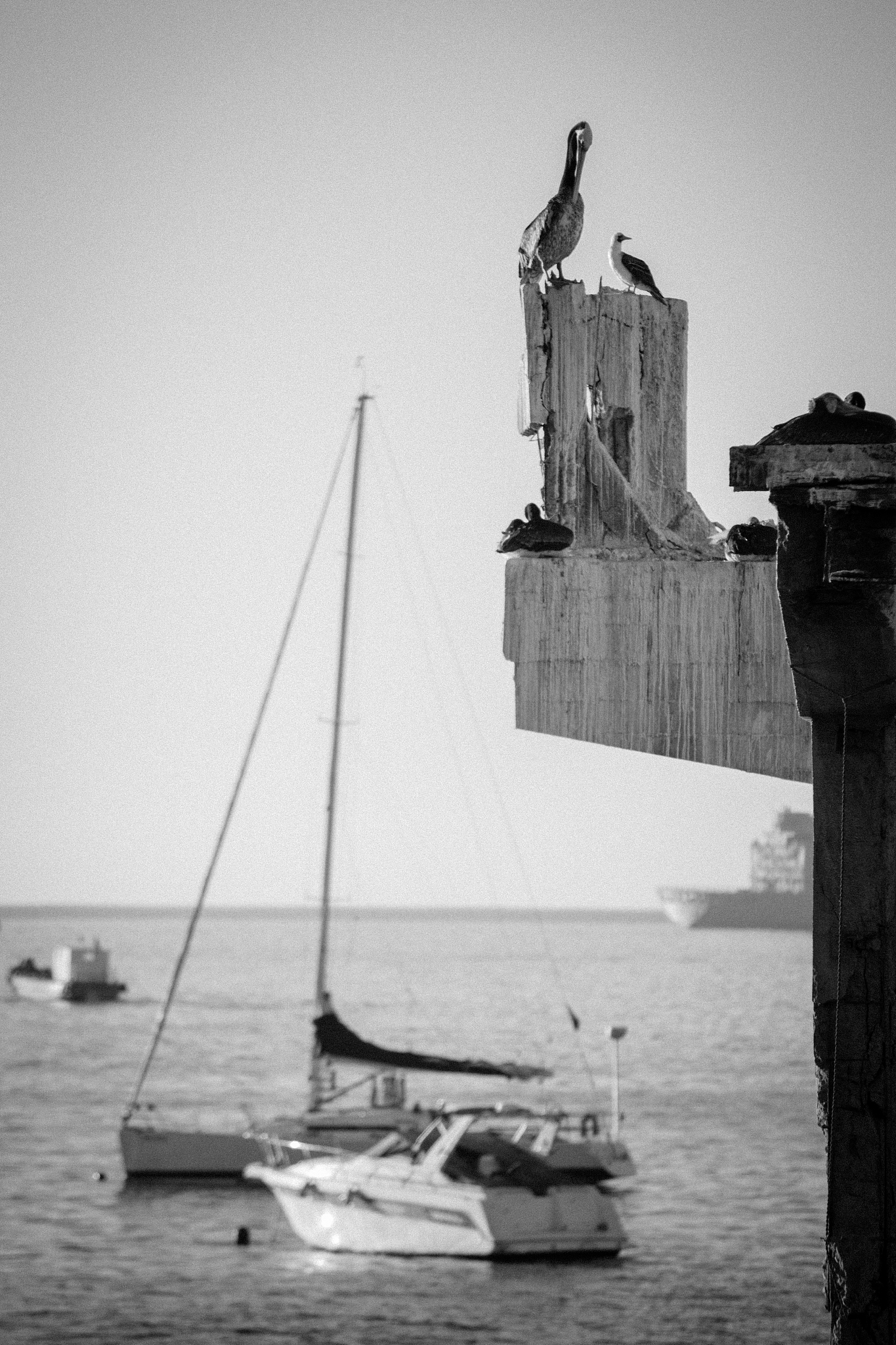 军事国防教育：全民国防教育的基石