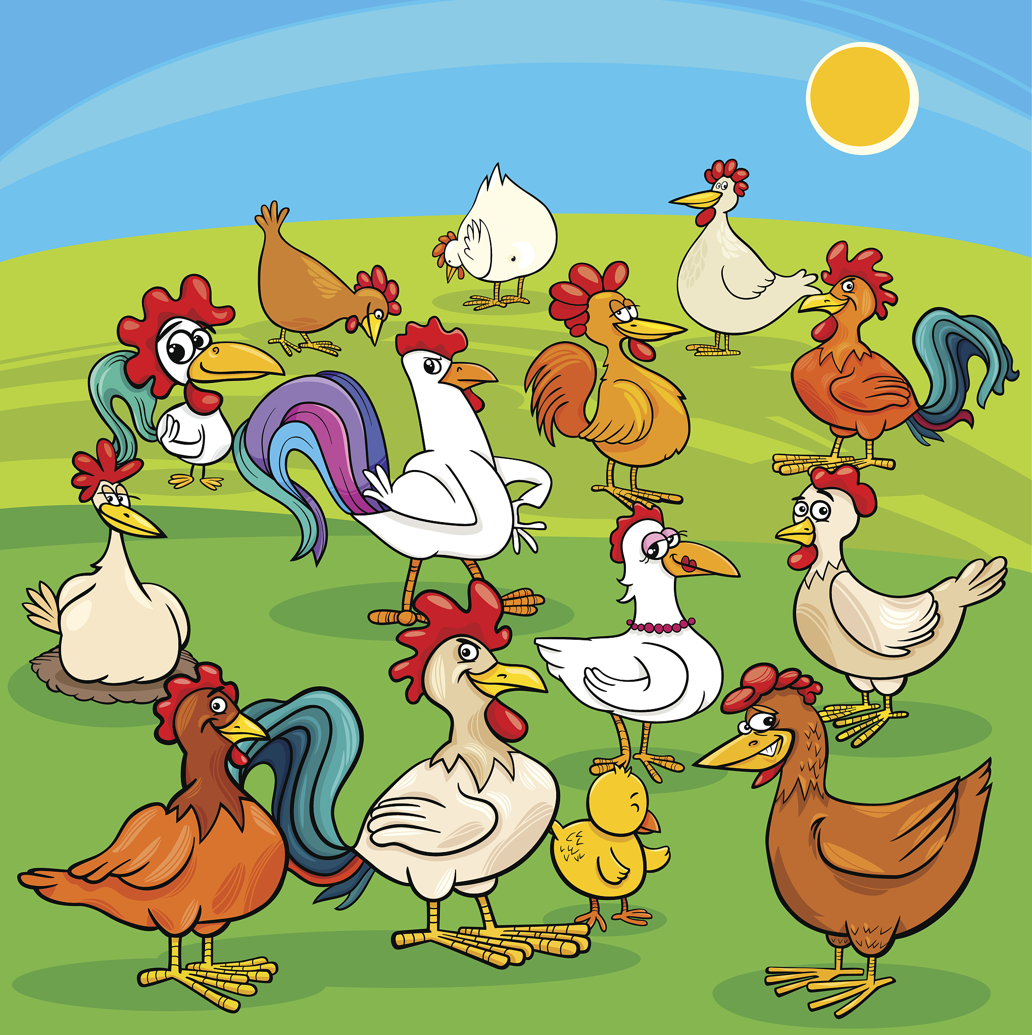 Types of Poultry: Chicken, Turkey, Duck and More