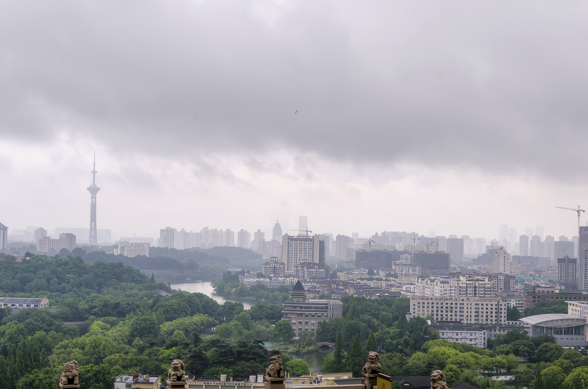 南京司机撞坏景区石狮，索赔60万！鉴定结果却出乎意料！