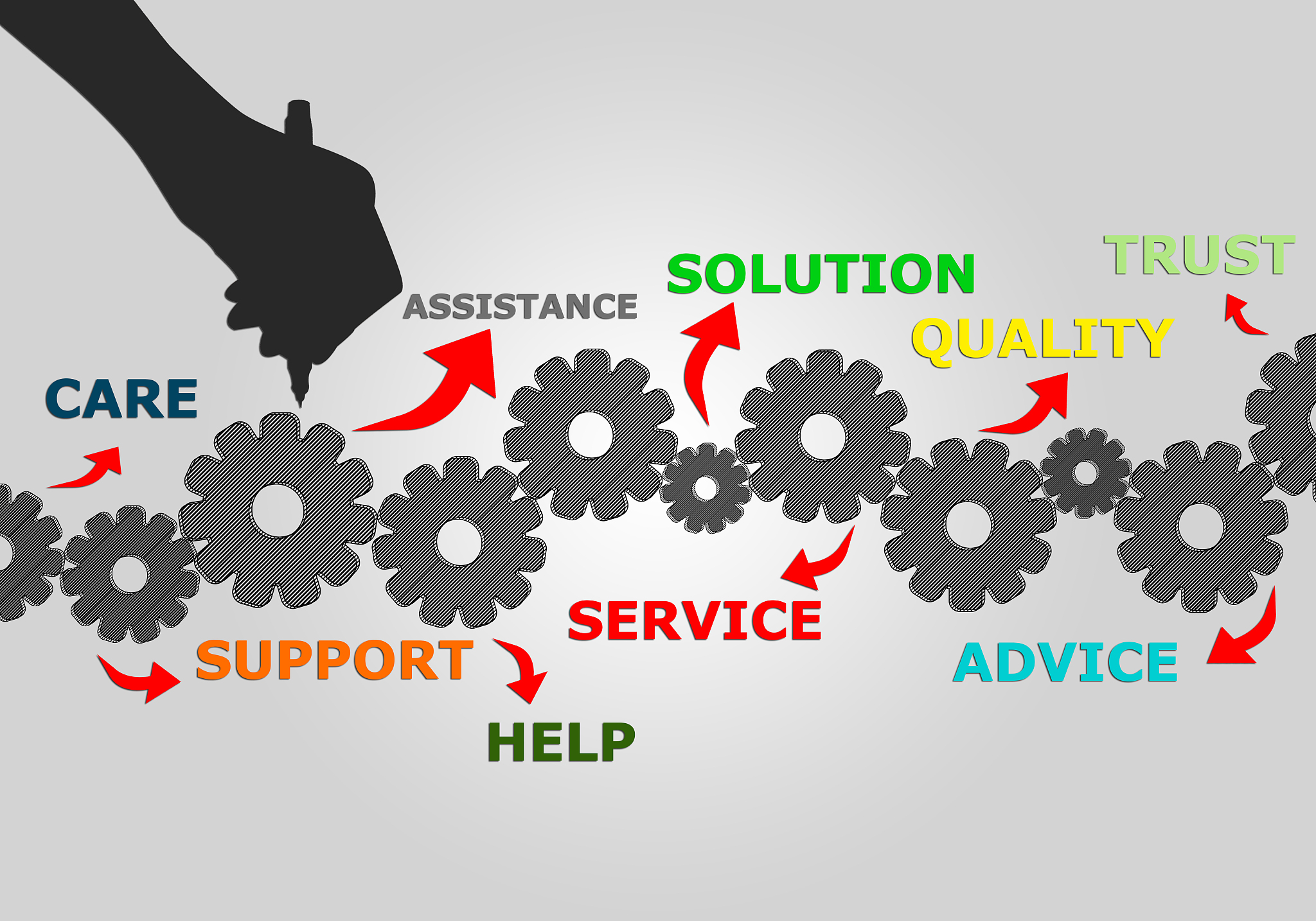 哪些细菌含几丁质且易于测OD？