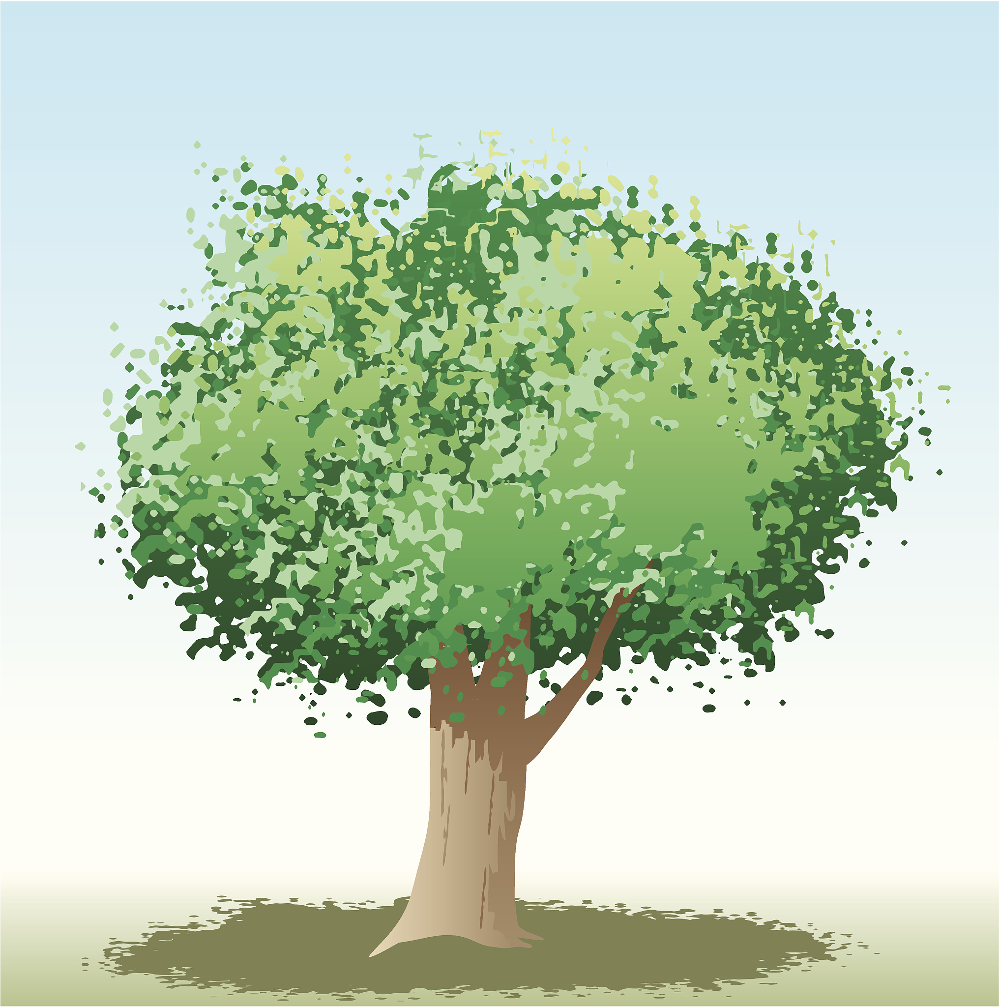 树木生长年龄：最低几年算成熟？