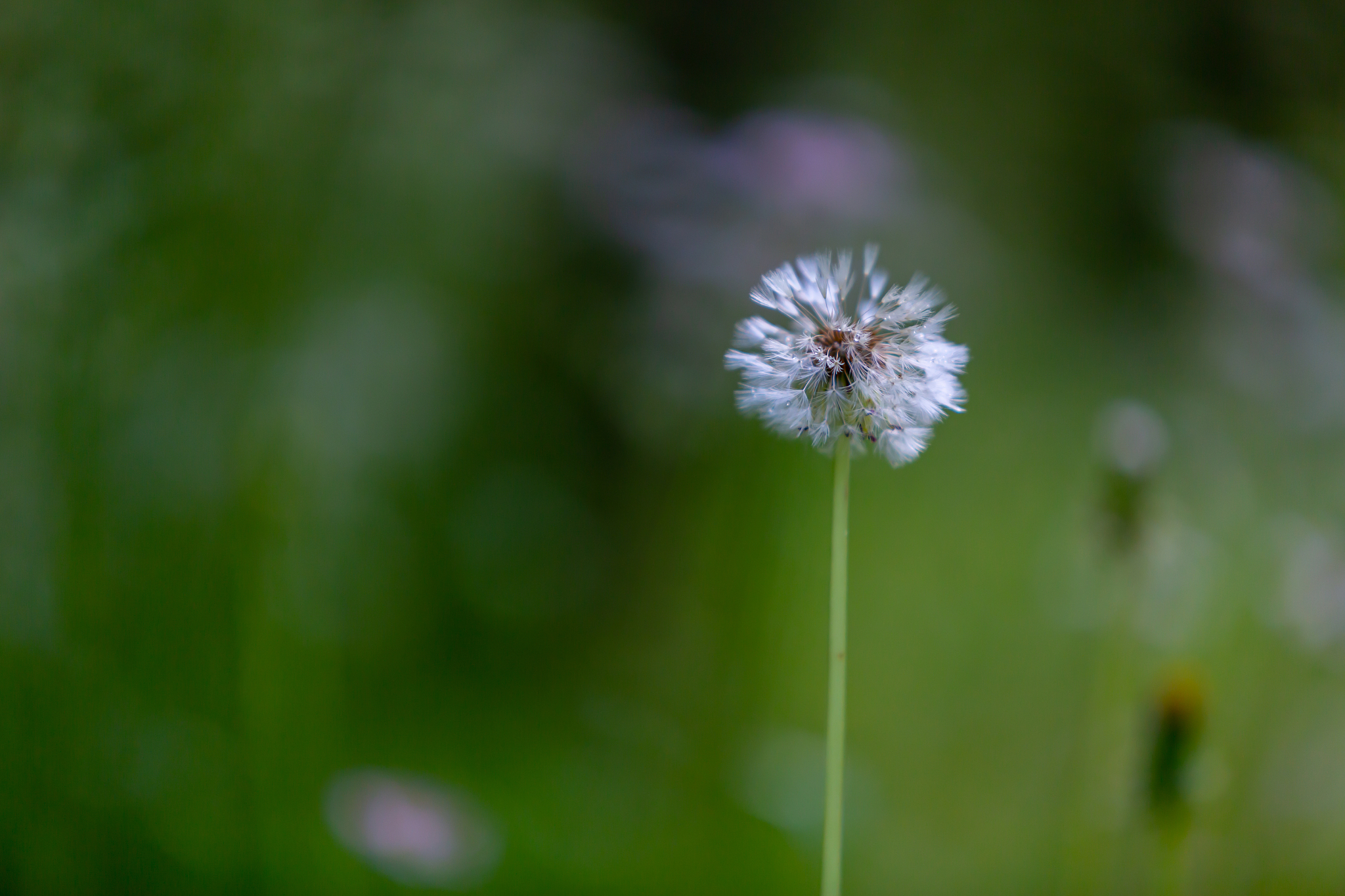湖南生物机电职业技术学院种子生产与经营专业怎么样？就业前景及学习内容解析