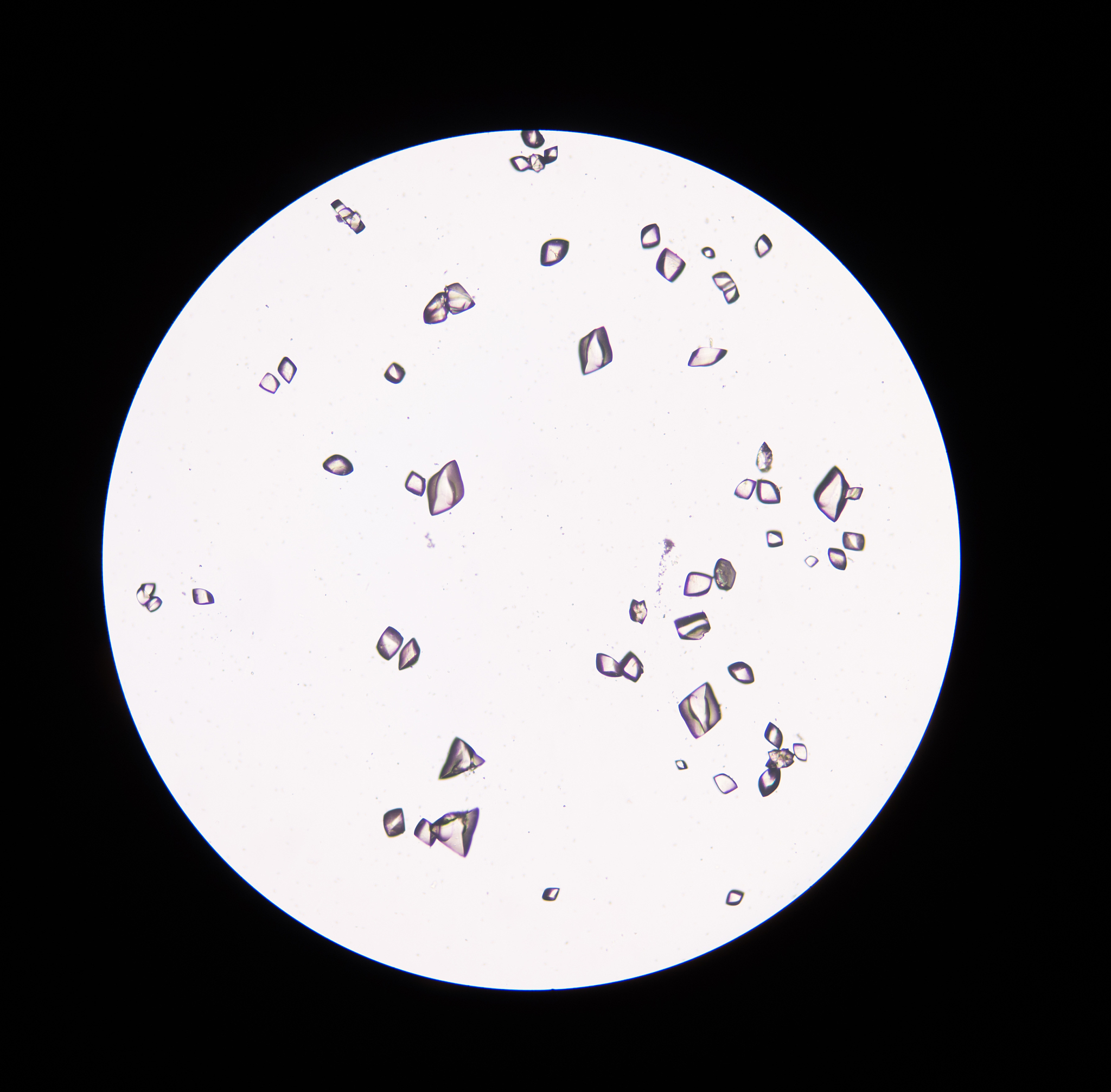 正常情况下，一天排尿几次？