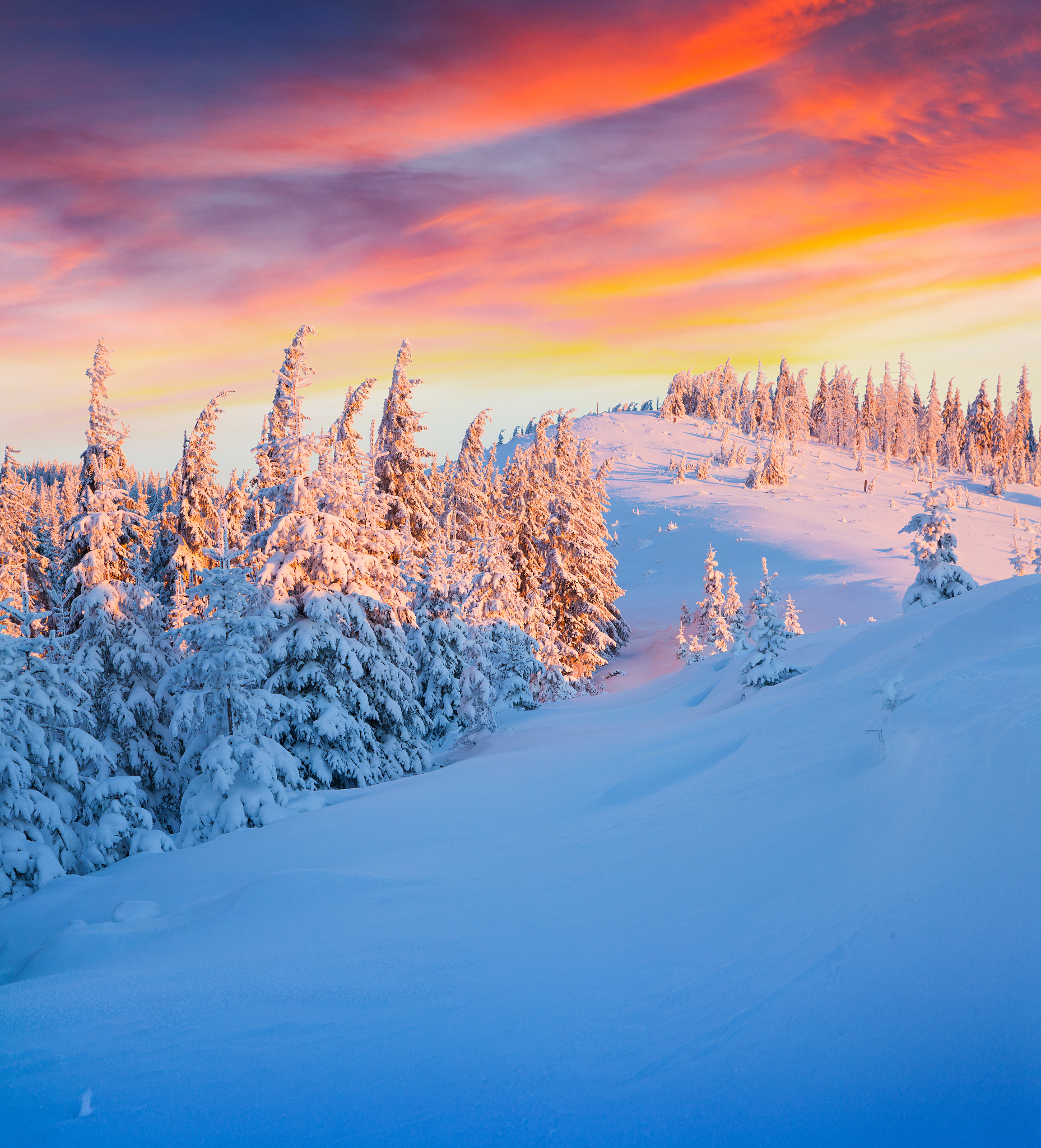 make me a cool transition