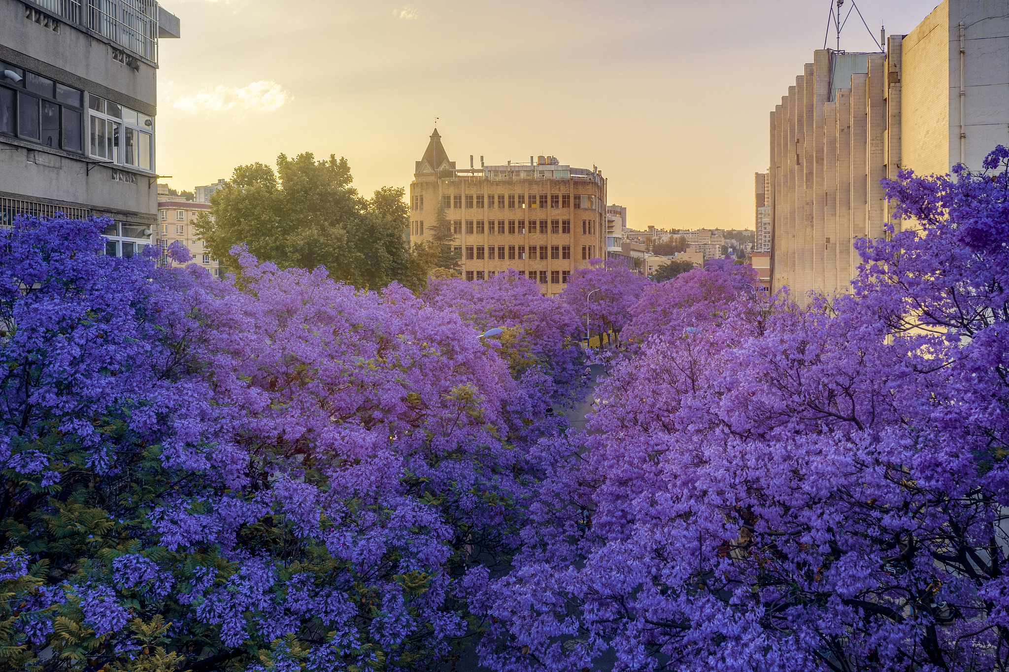 昆明汽修学校排名：哪家最好？