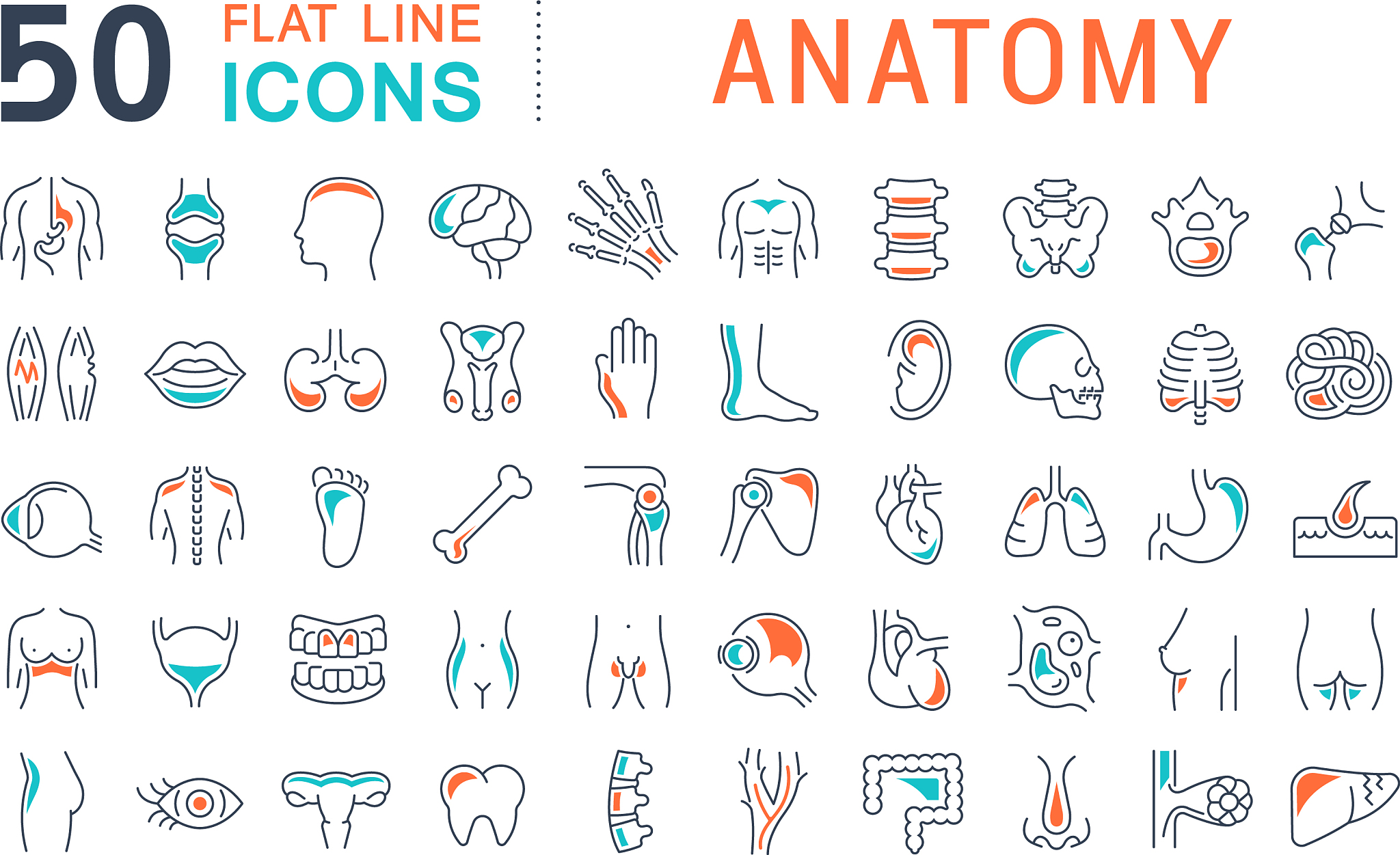 山东中医药大学的康复治疗主要学习哪些课程