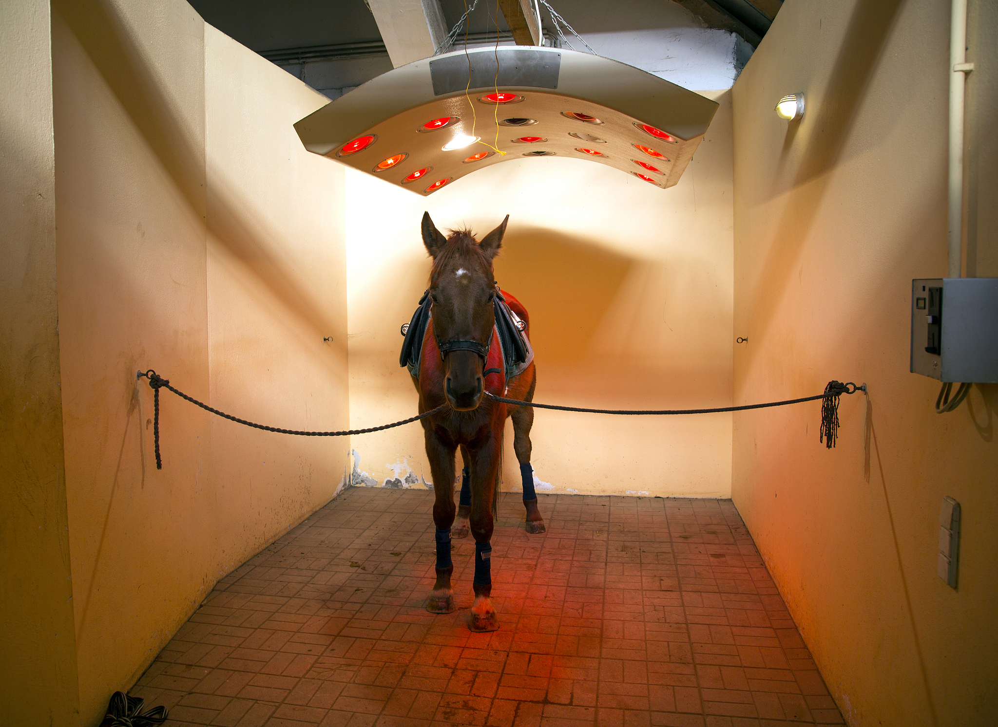 人工光源的光疗法有A 	红外线疗法B 	可见光疗法C 	日光疗法D 	紫外线疗法E 	激光疗法