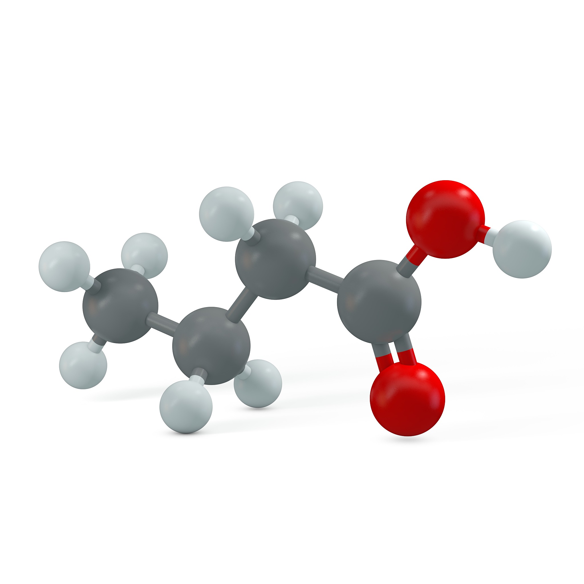 butanoic acid molecule, illustration