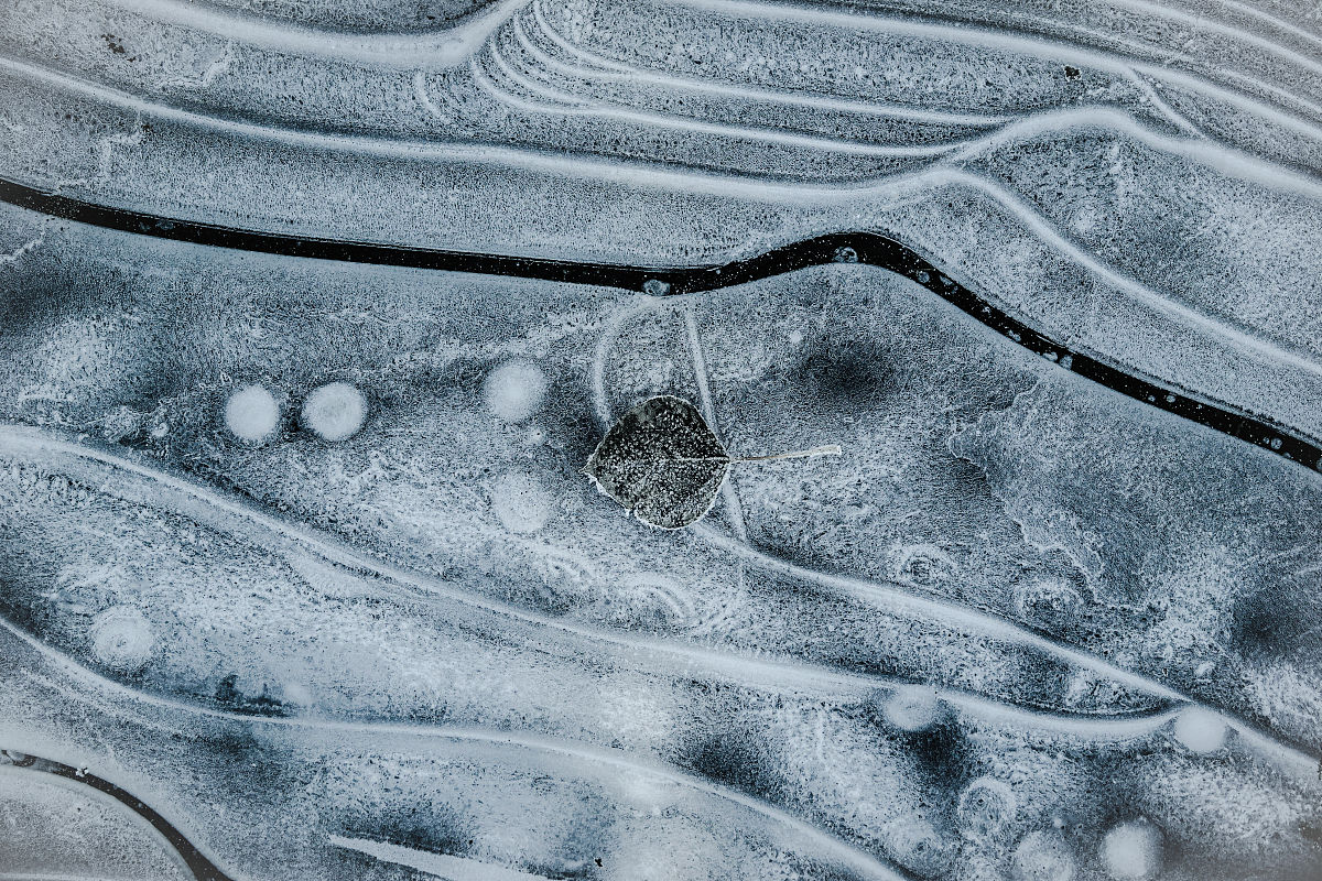透射电镜观察内质网指标及统计作图方法