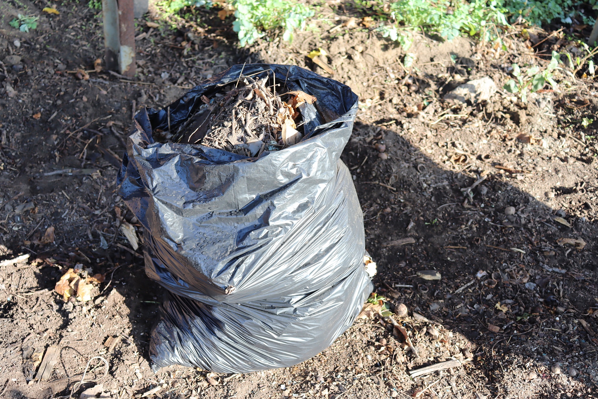 废橡胶的有效利用：化学与物理处理方法