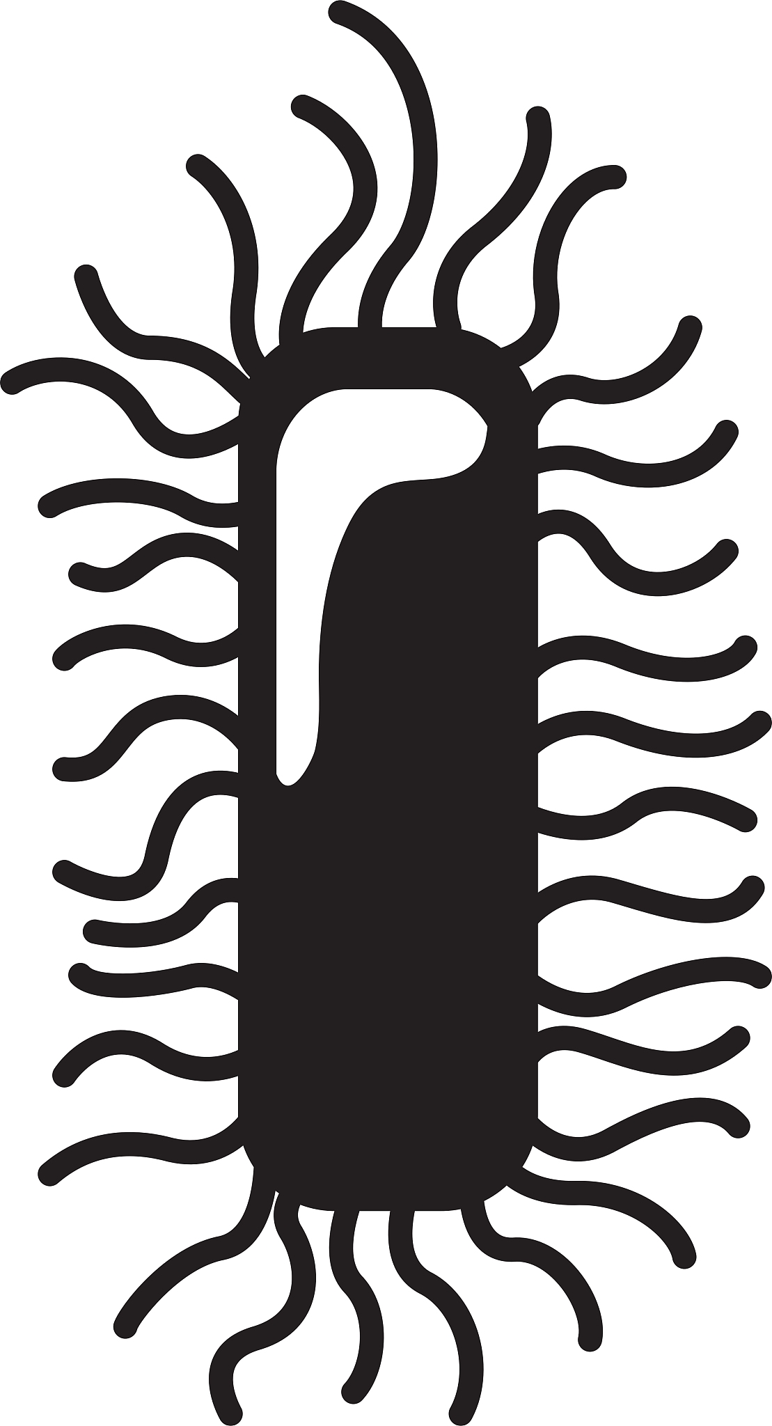 陕西省有关新生儿细菌感染鉴定的规定