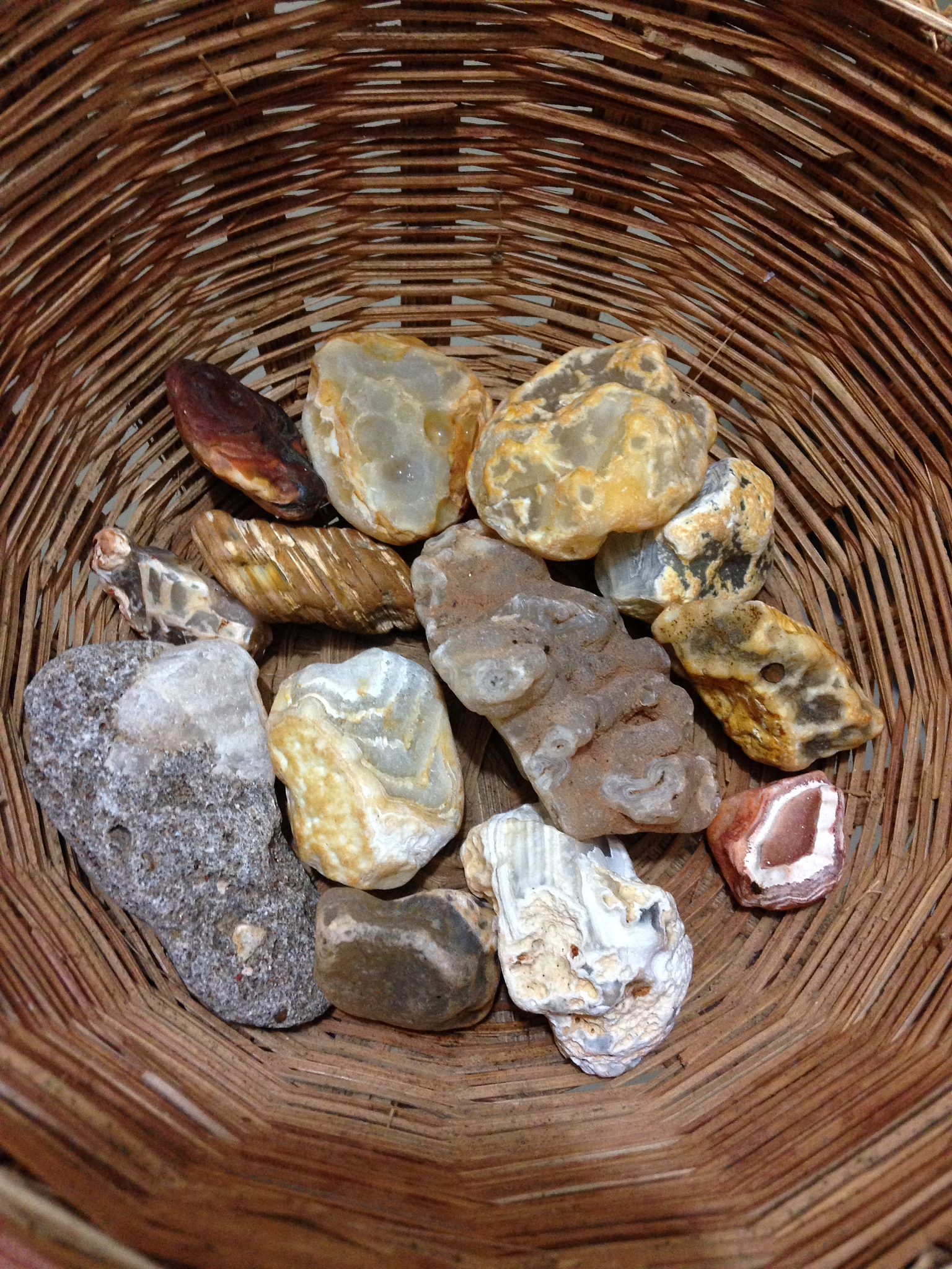 琥珀的形成：自然之宝，非人工制造