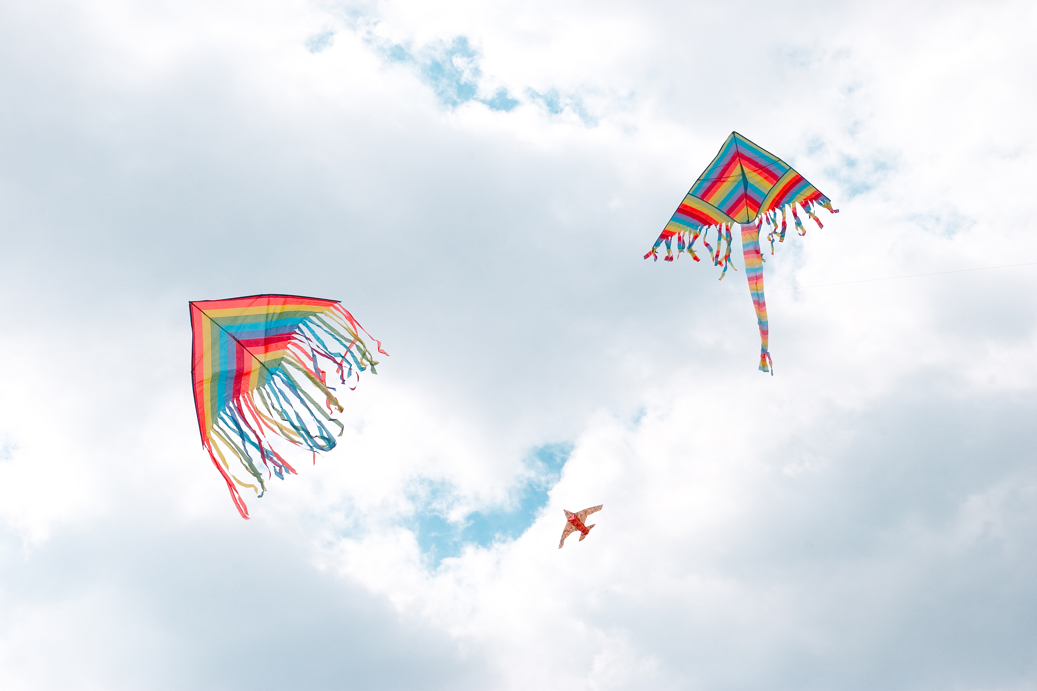 kites flying