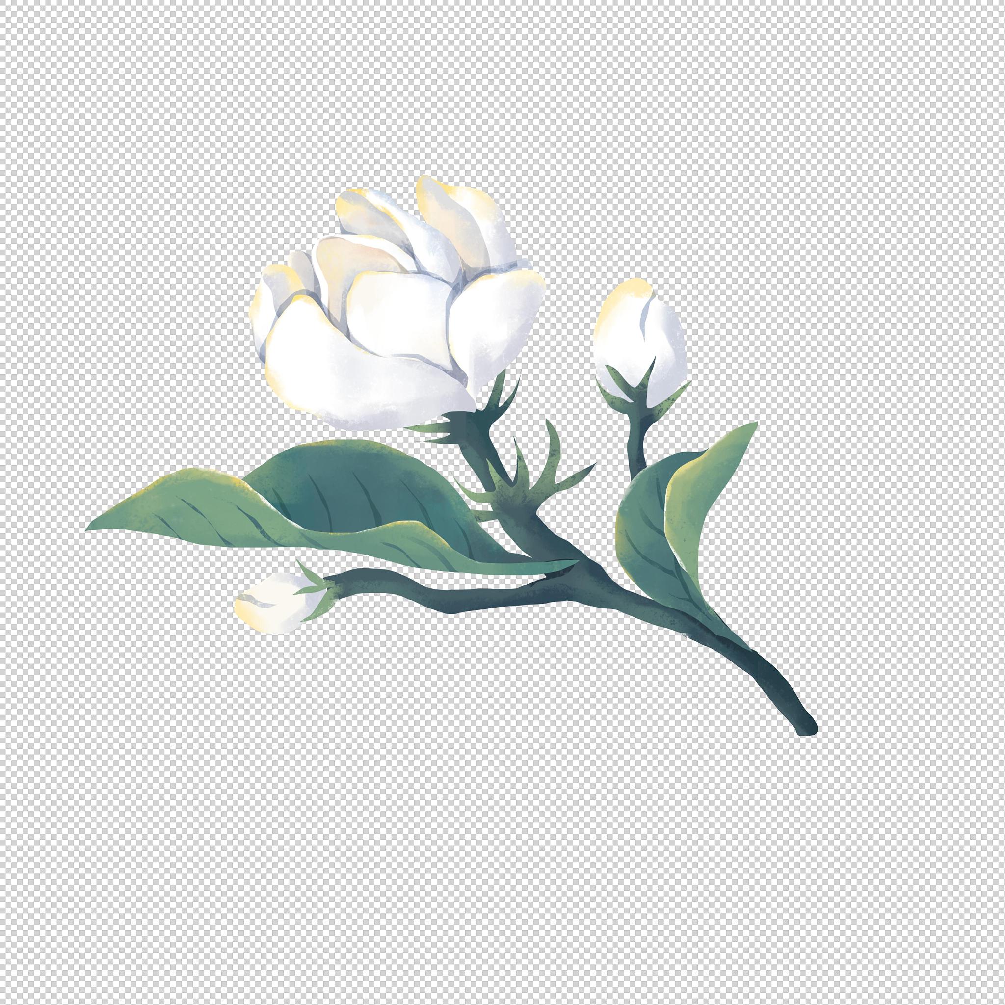 茉莉花简谱 - 优美旋律，轻松弹奏
