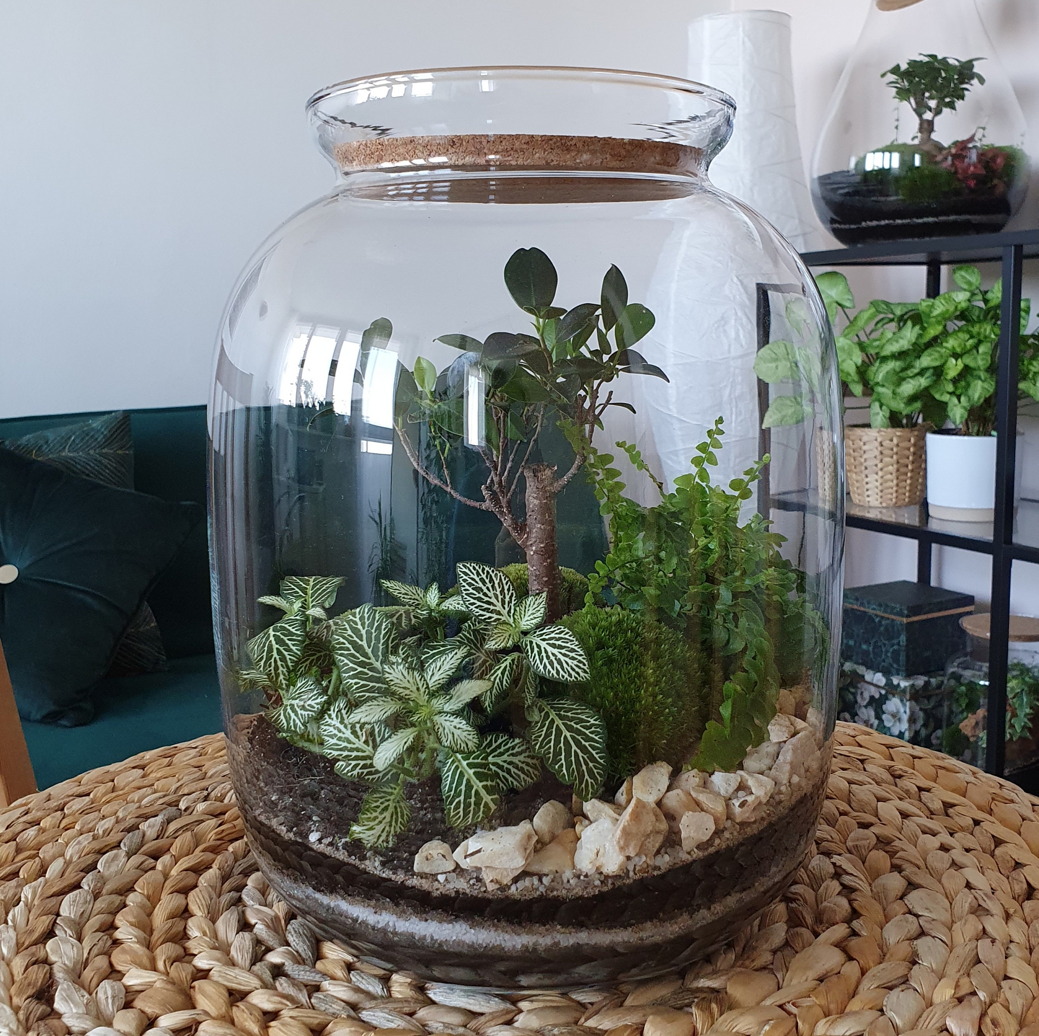 酒瓶养鱼什么意思