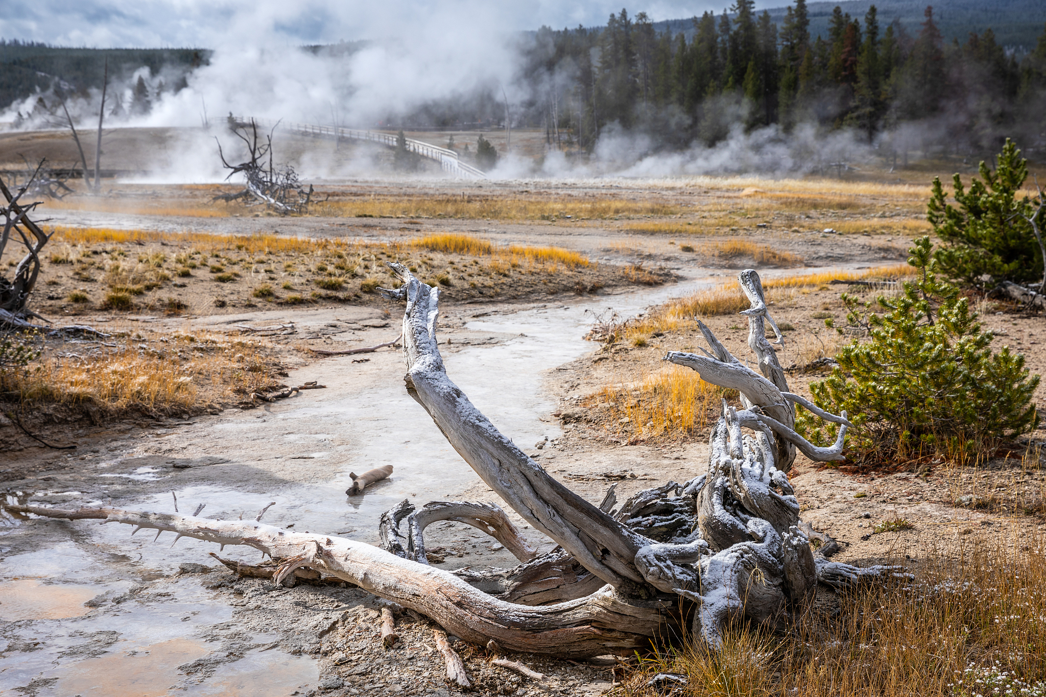 请对土木工程专业论文《 黄石道路桥梁施工中混凝土裂缝的成因及应对分析》的61 案例一：A道路桥梁温度变化引起的裂缝进行写作 最好有图表统计保证其内容合理性不要乱写：