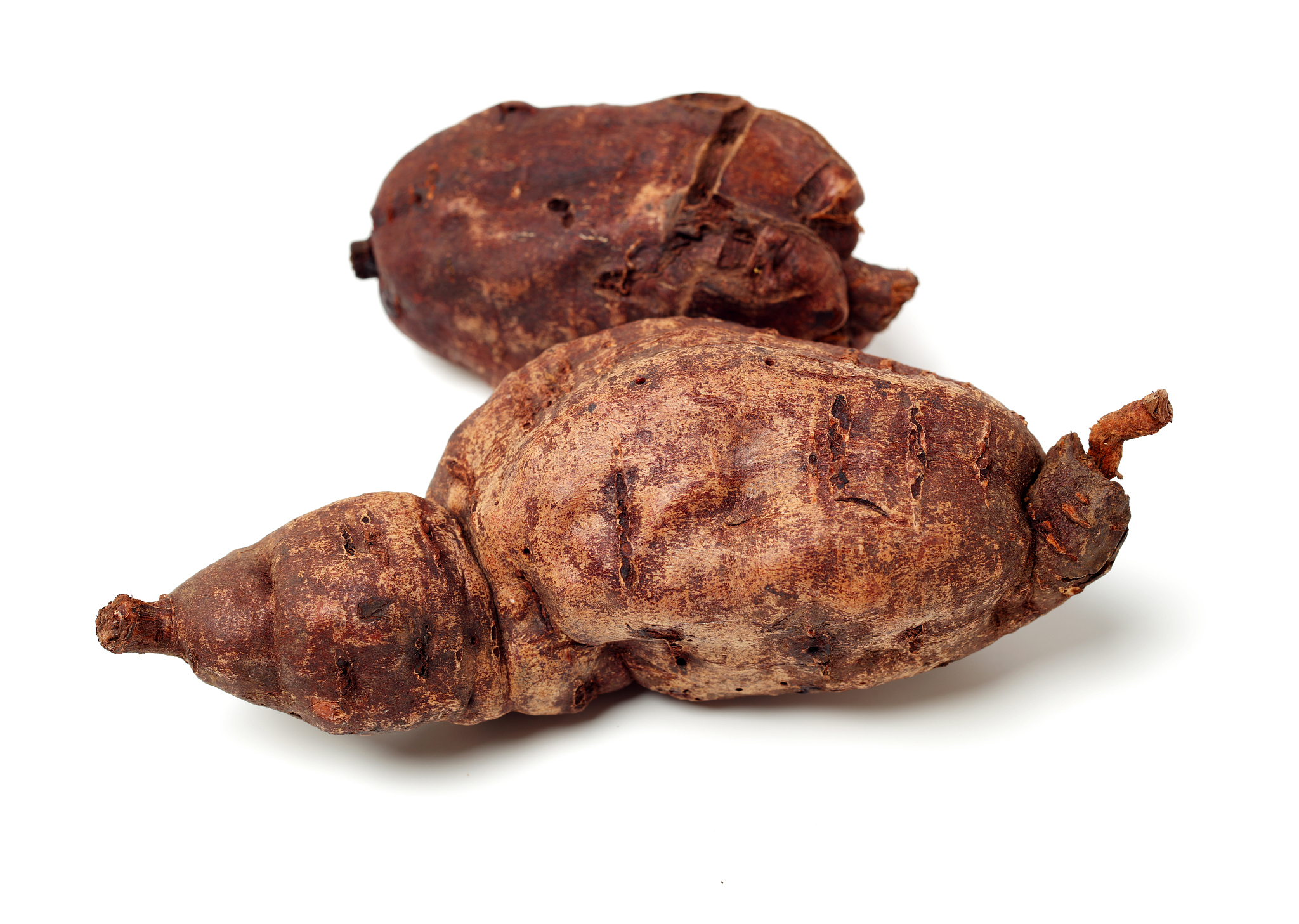 贵阳中医学院怎么样？就业前景如何？