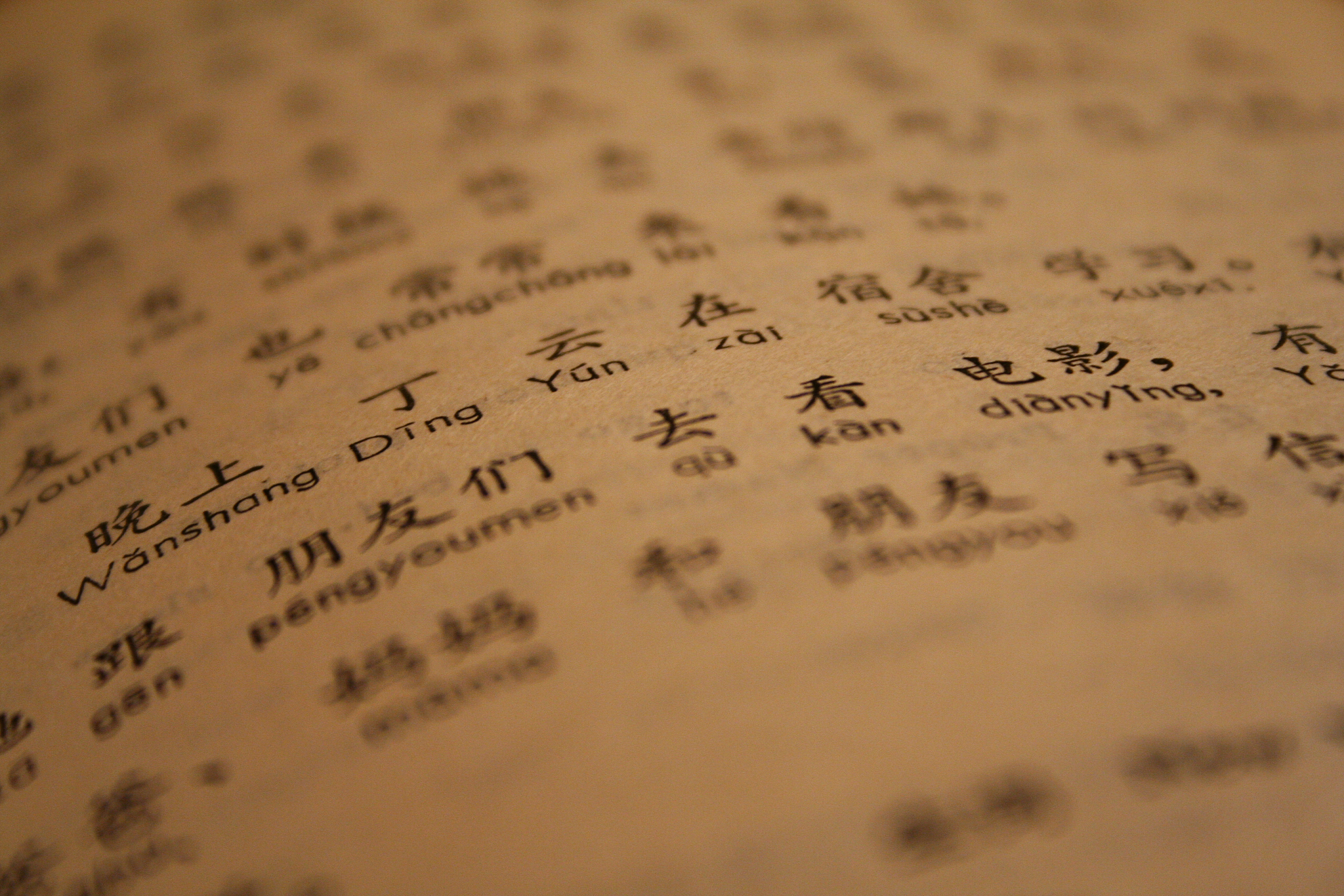 中文之美：汉字、词语、语音和文化传承