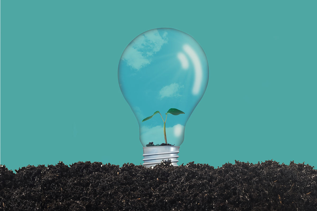 土壤组成：构成土壤的五大要素