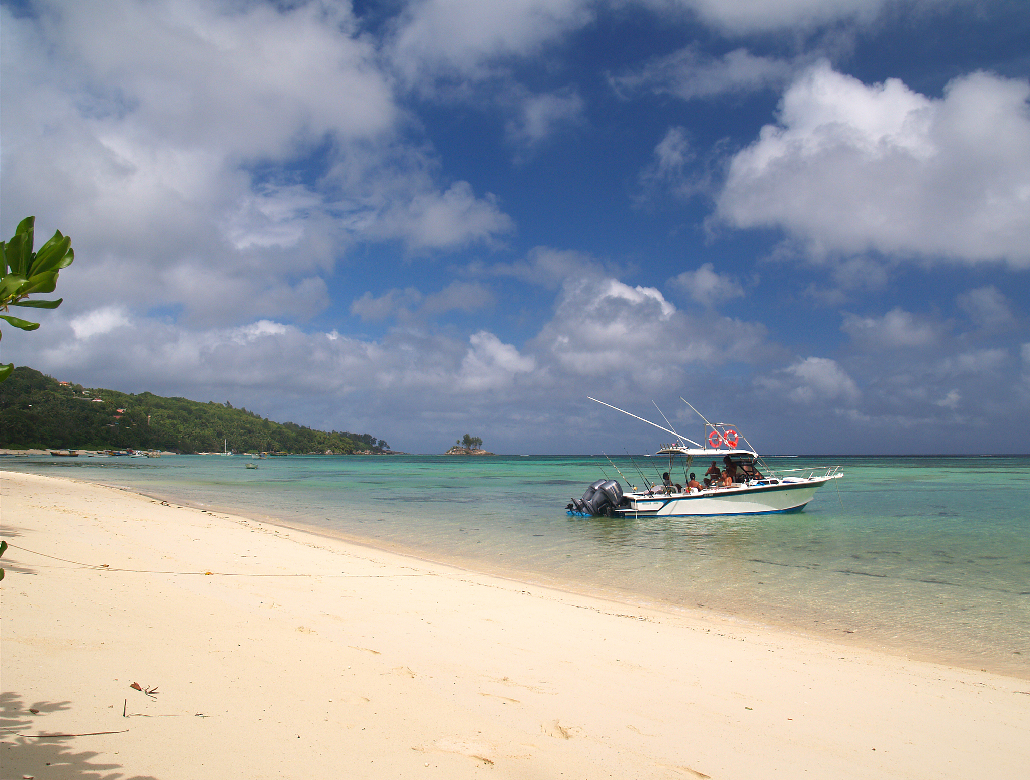tropical beach