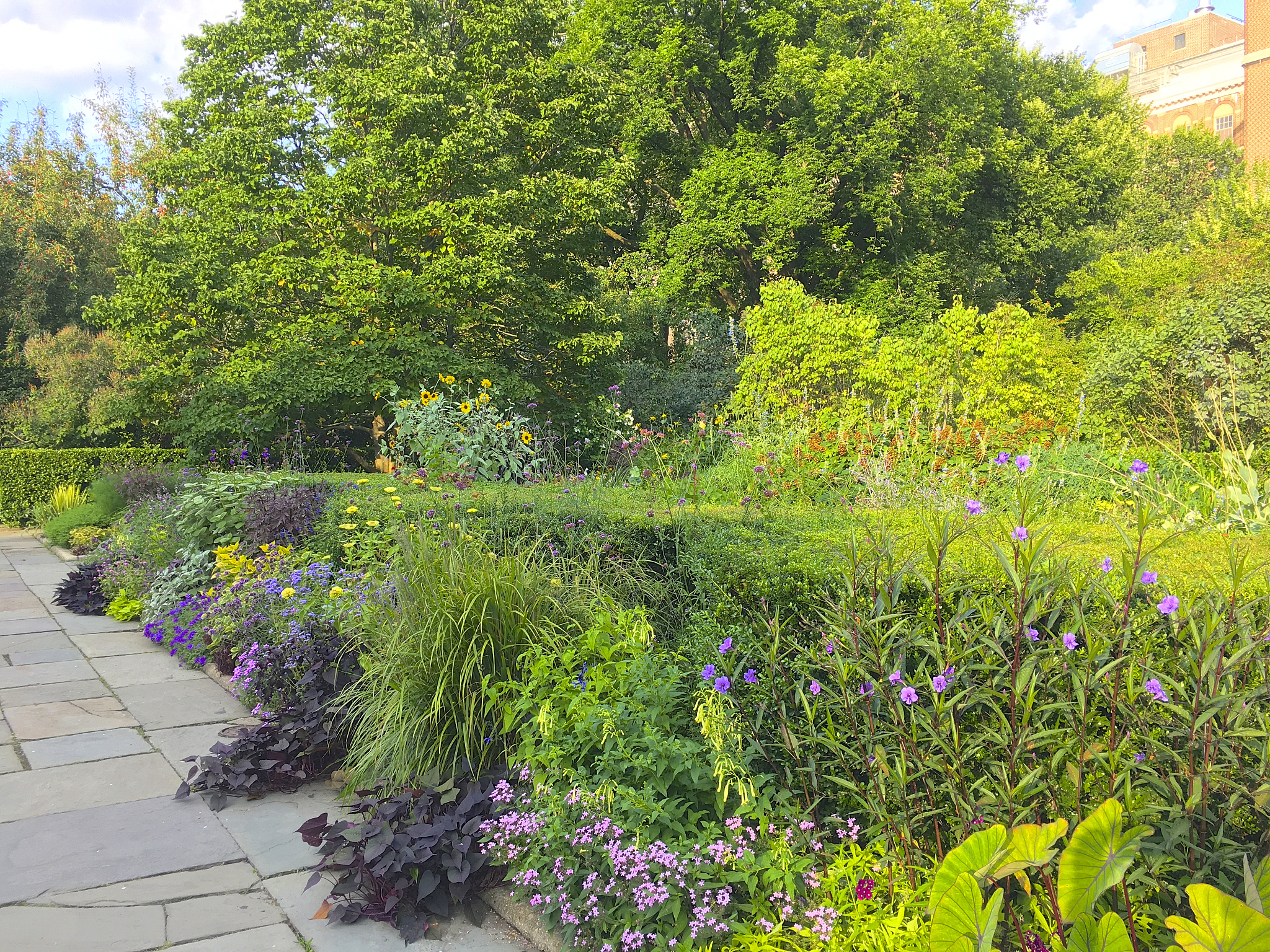 鸿业市政道路中各个植物图形对应的植物名称
