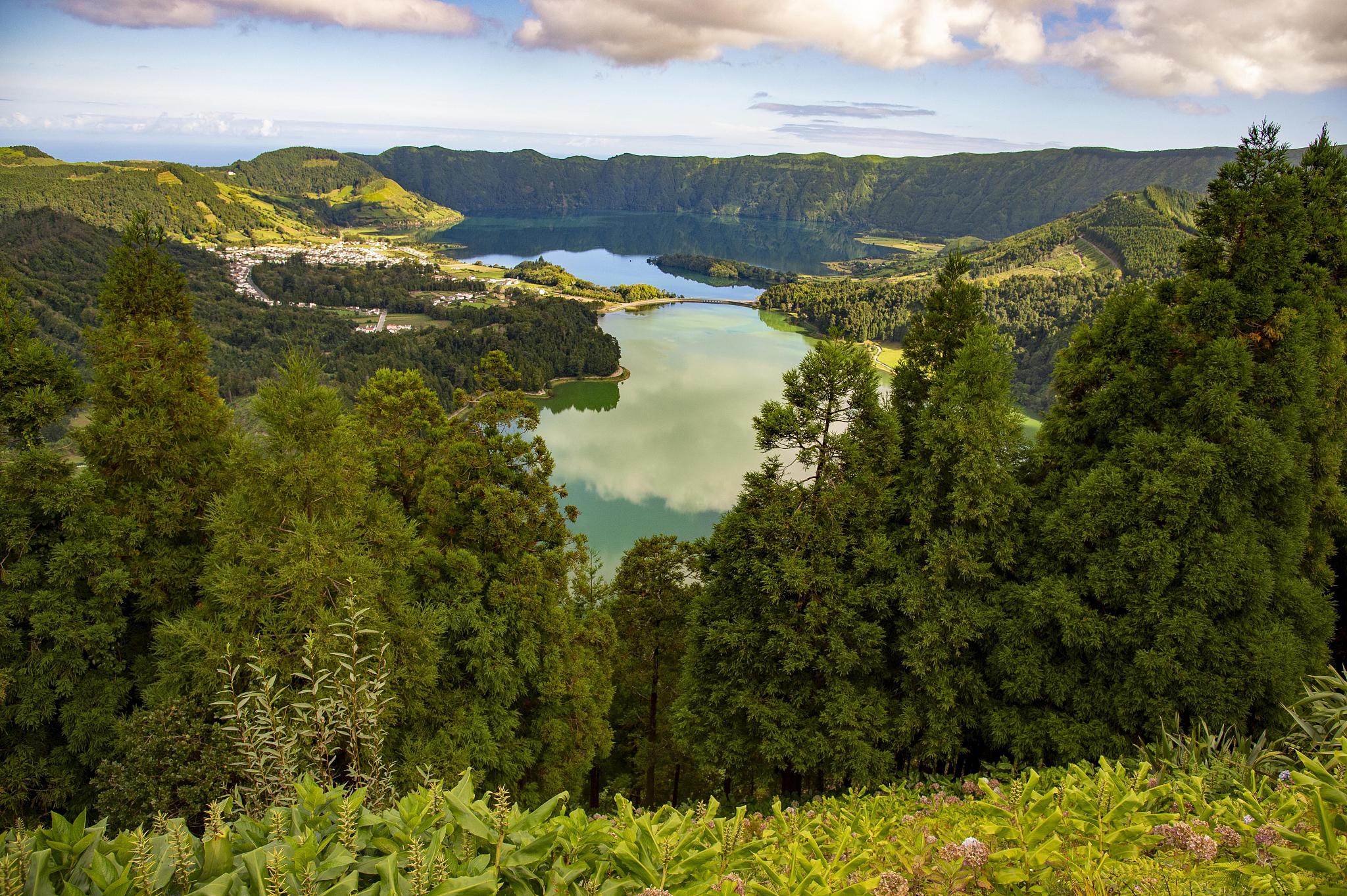 Exploring the Two Main Nature Regions of the UK