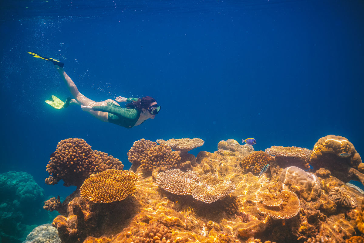蜈支洲岛潜水：探索奇妙的海底世界