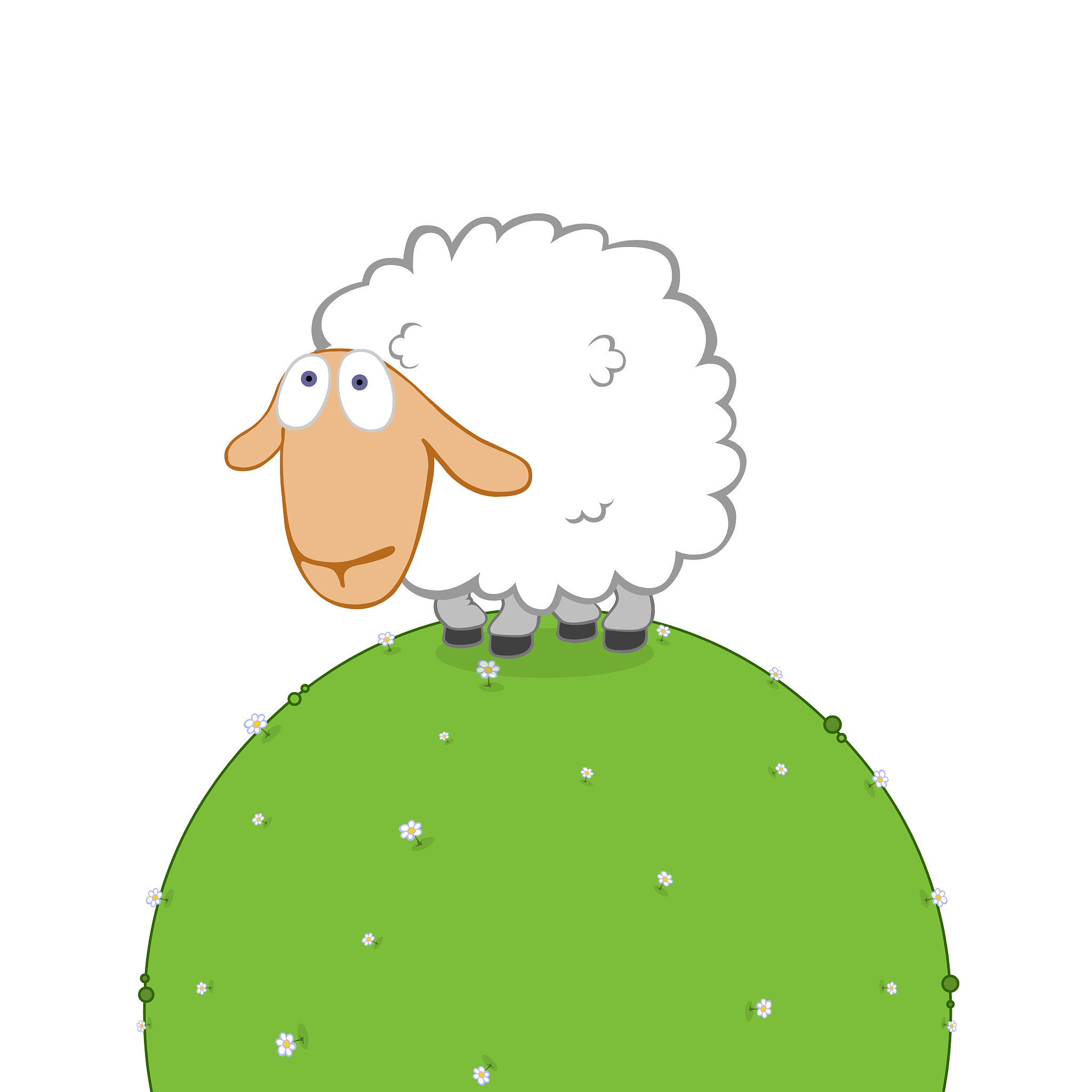 小羊的勇敢：被骗后的逆袭与成长