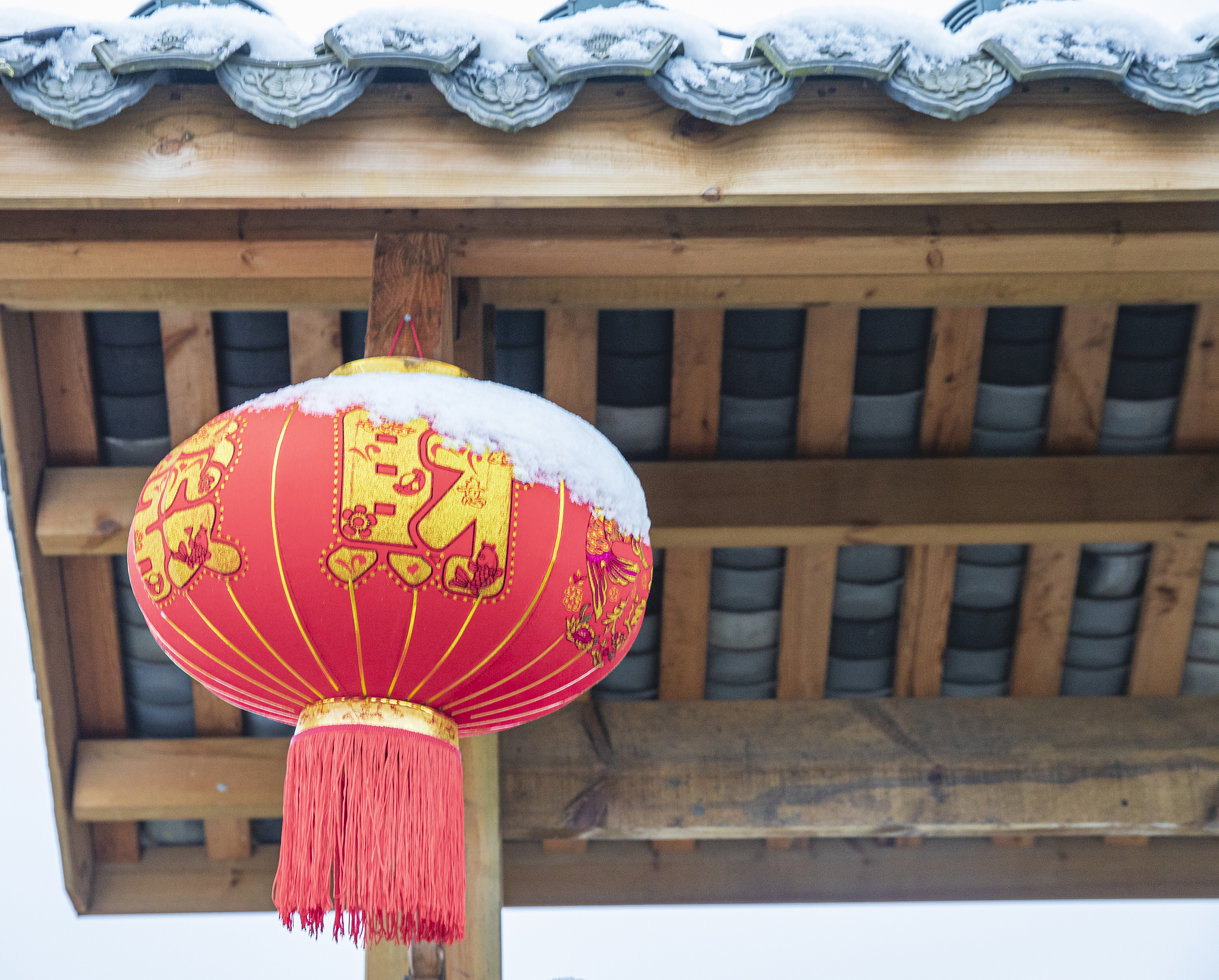 成都2021年读什么护理学校比较好